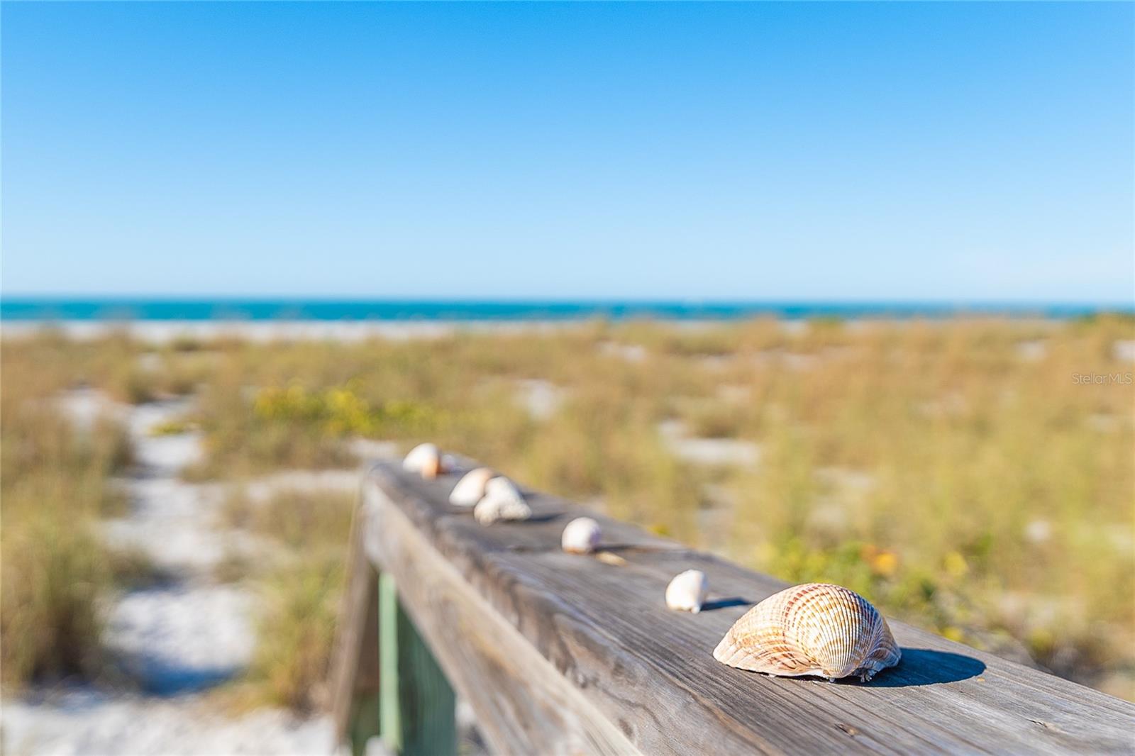 Image 31 of 36 For 7466 Palm Island Drive 2911