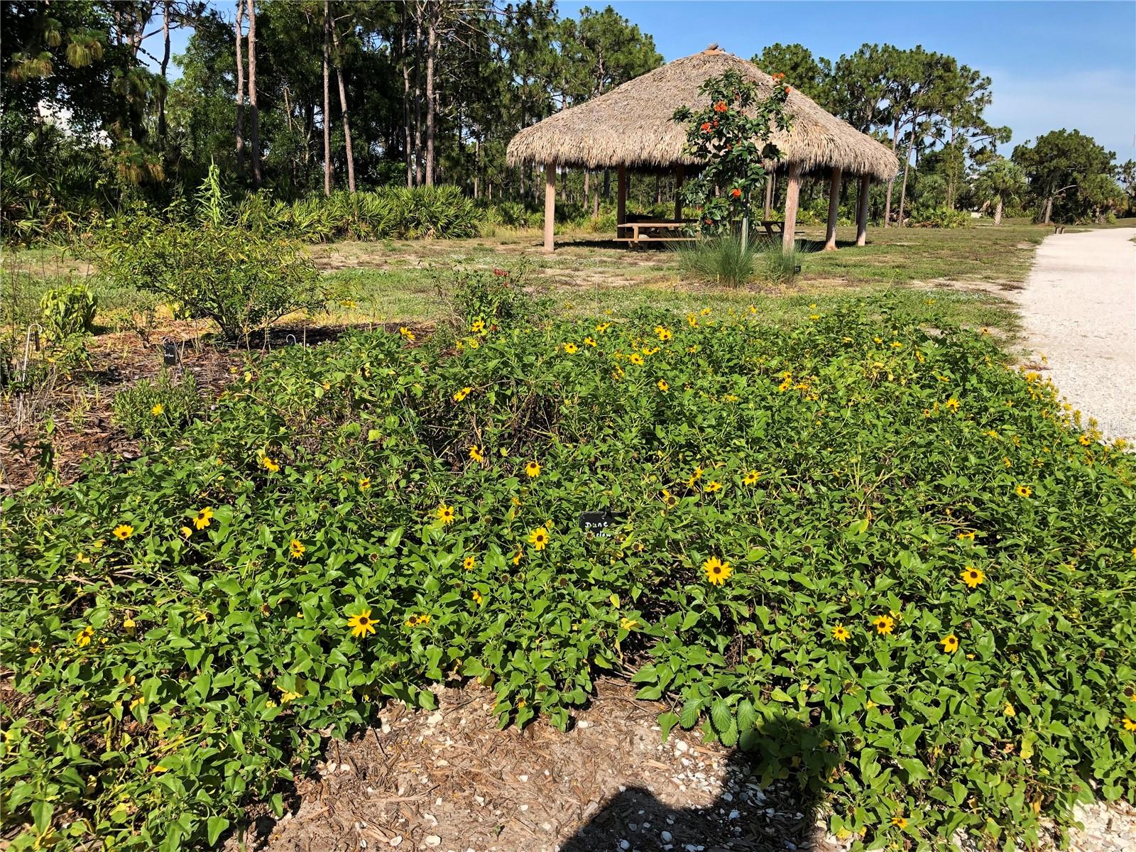 Image 10 of 100 For 601 Rotonda Circle