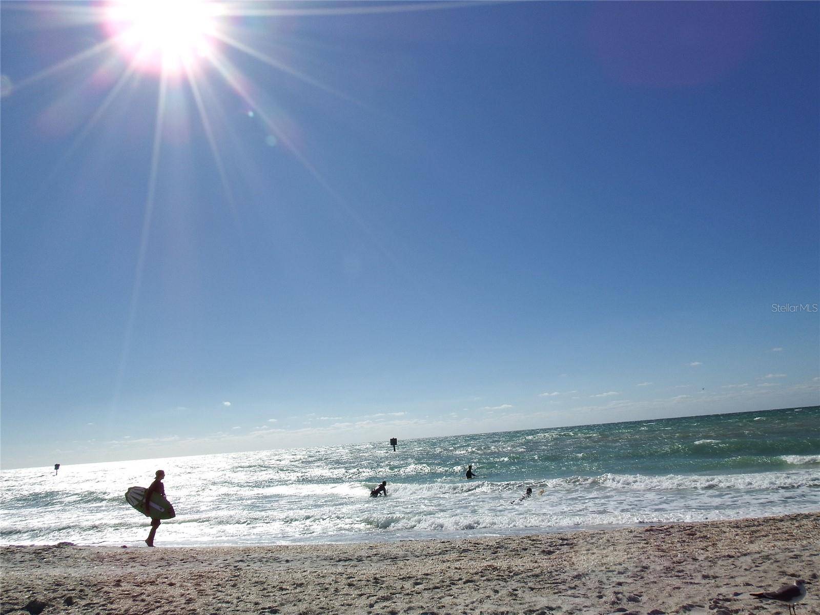 Image 29 of 100 For 601 Rotonda Circle