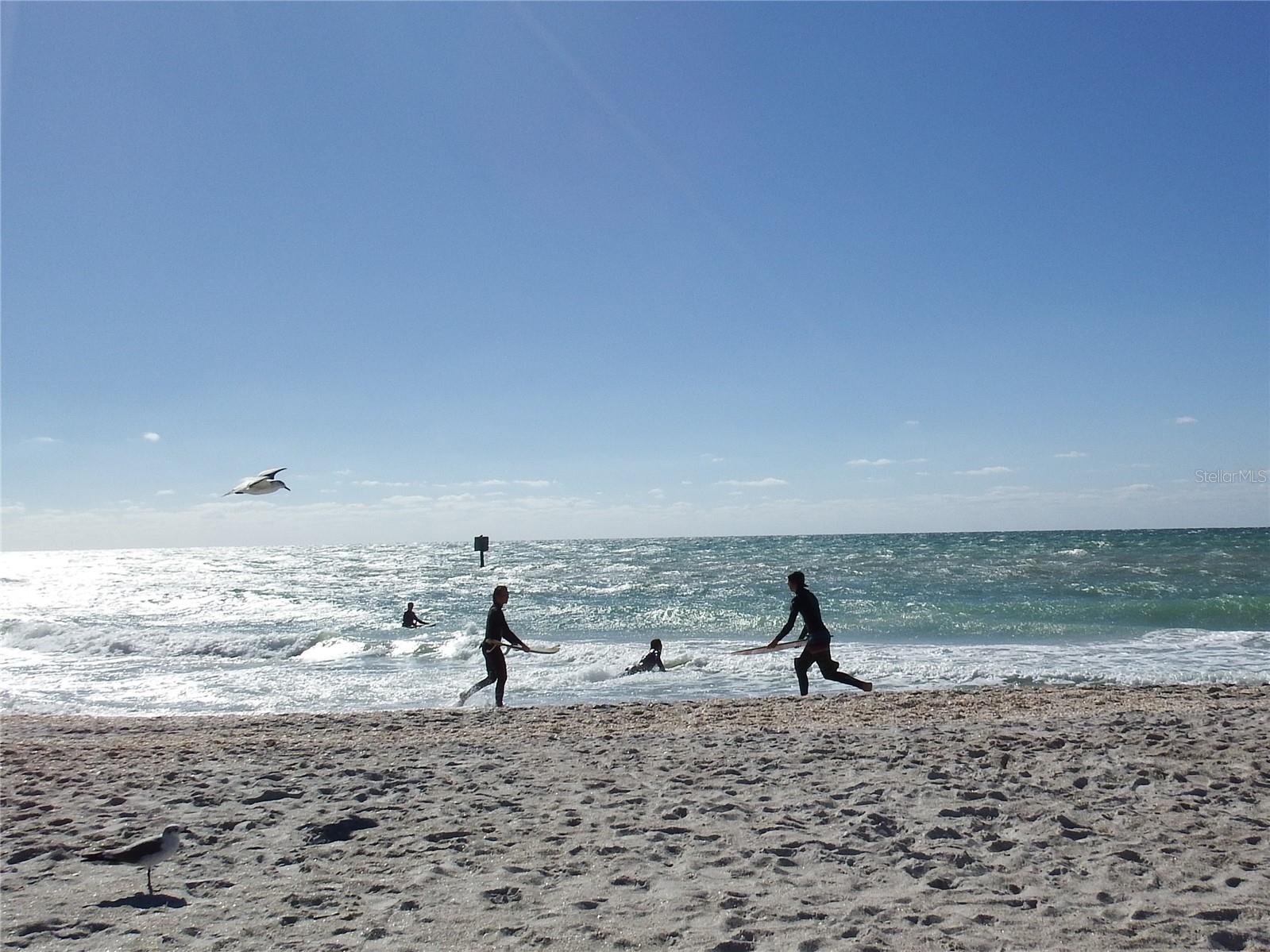 Image 33 of 100 For 601 Rotonda Circle