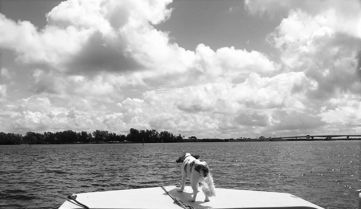 Image 60 of 100 For 601 Rotonda Circle