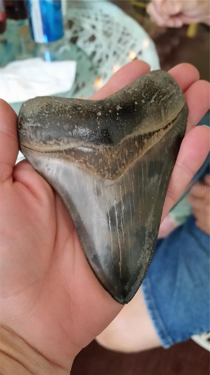 Image 70 of 100 For 601 Rotonda Circle