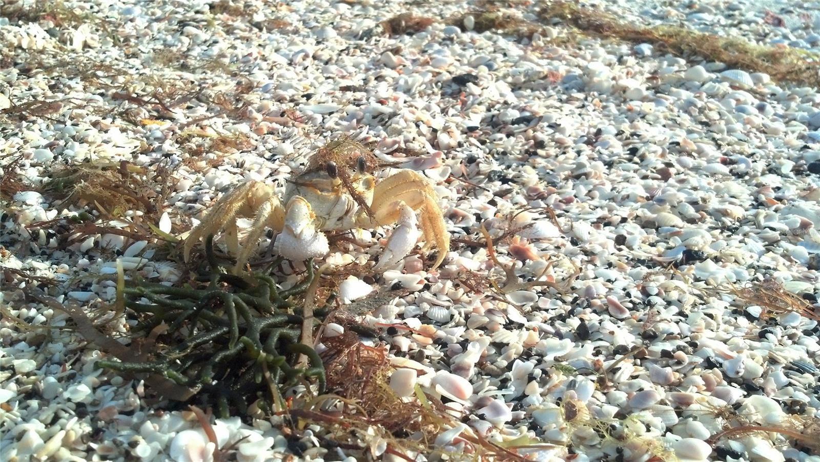 Image 75 of 100 For 601 Rotonda Circle