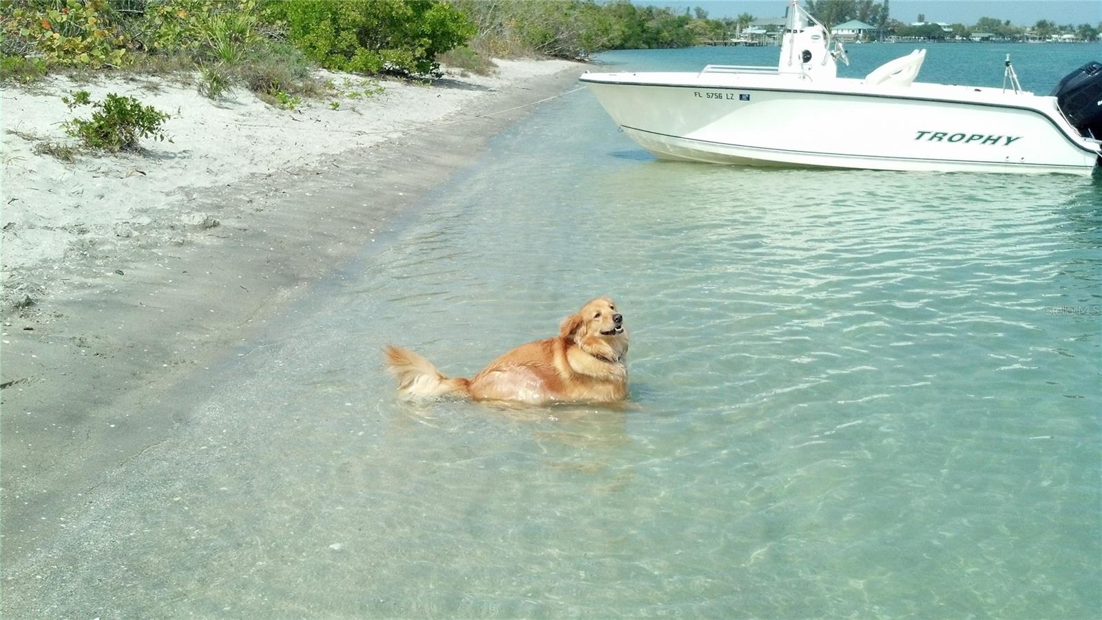 Image 87 of 100 For 601 Rotonda Circle