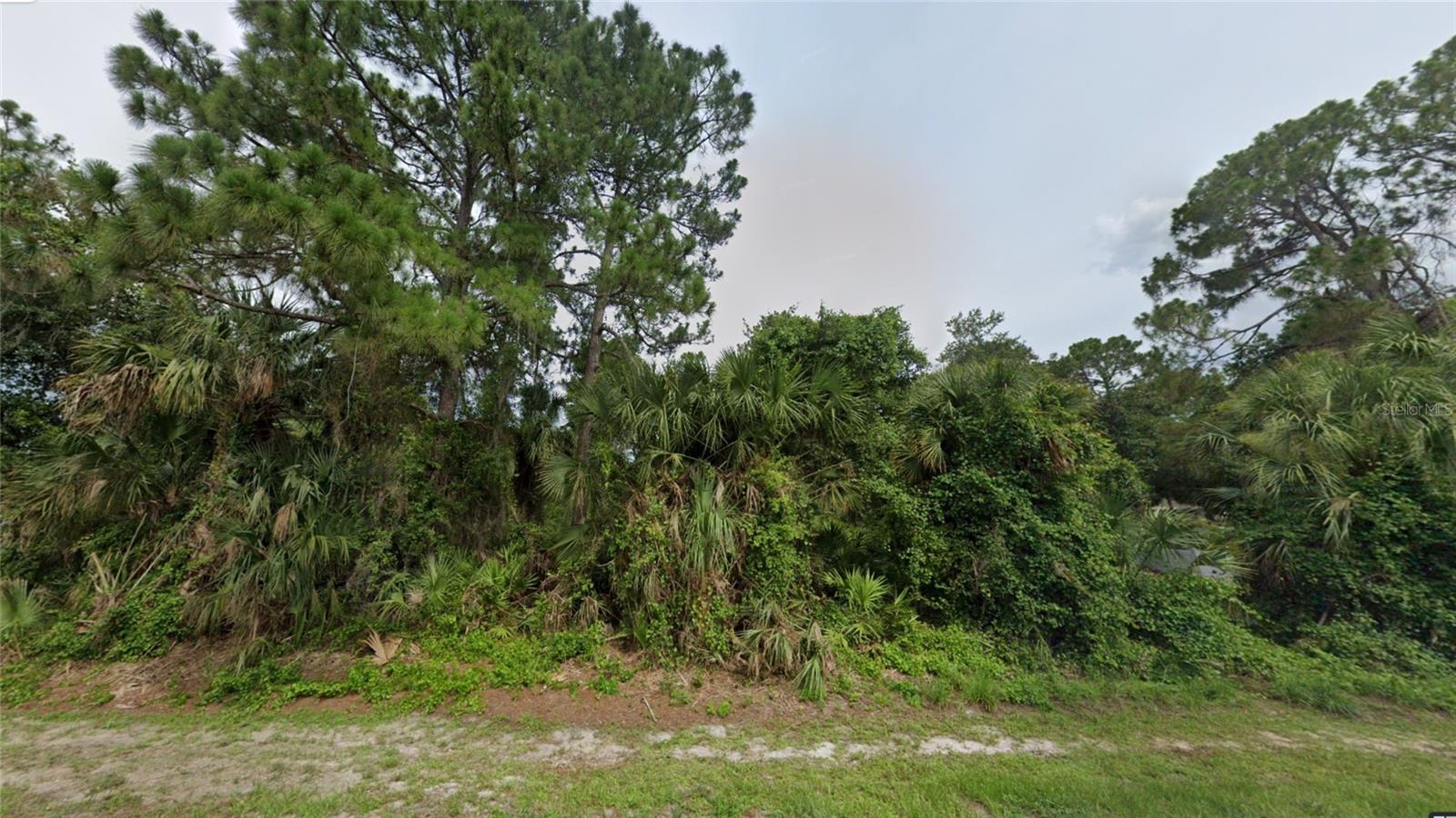 Image 6 of 19 For Toluca Terrace Lot 10 & 1