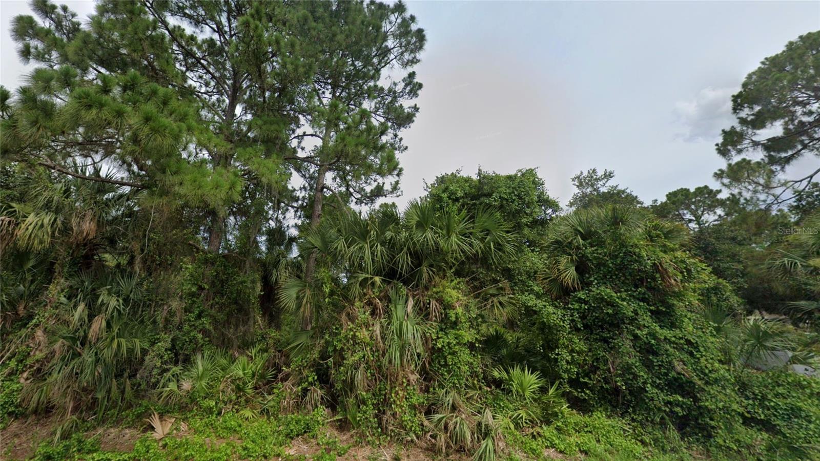 Image 7 of 19 For Toluca Terrace Lot 10 & 1