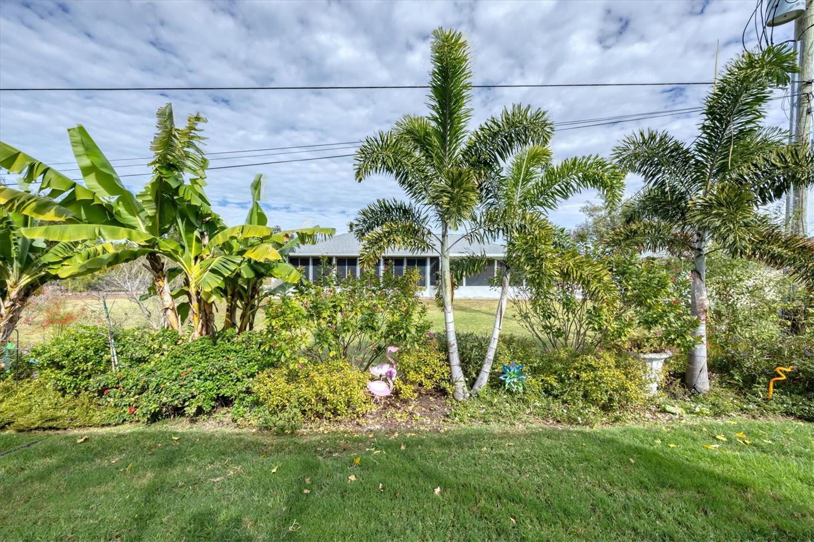 Image 36 of 46 For 11138 Magdalena Avenue