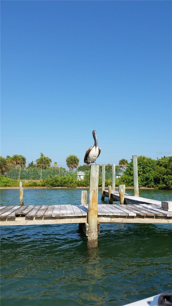 Image 15 of 100 For 232 Mark Twain Lane