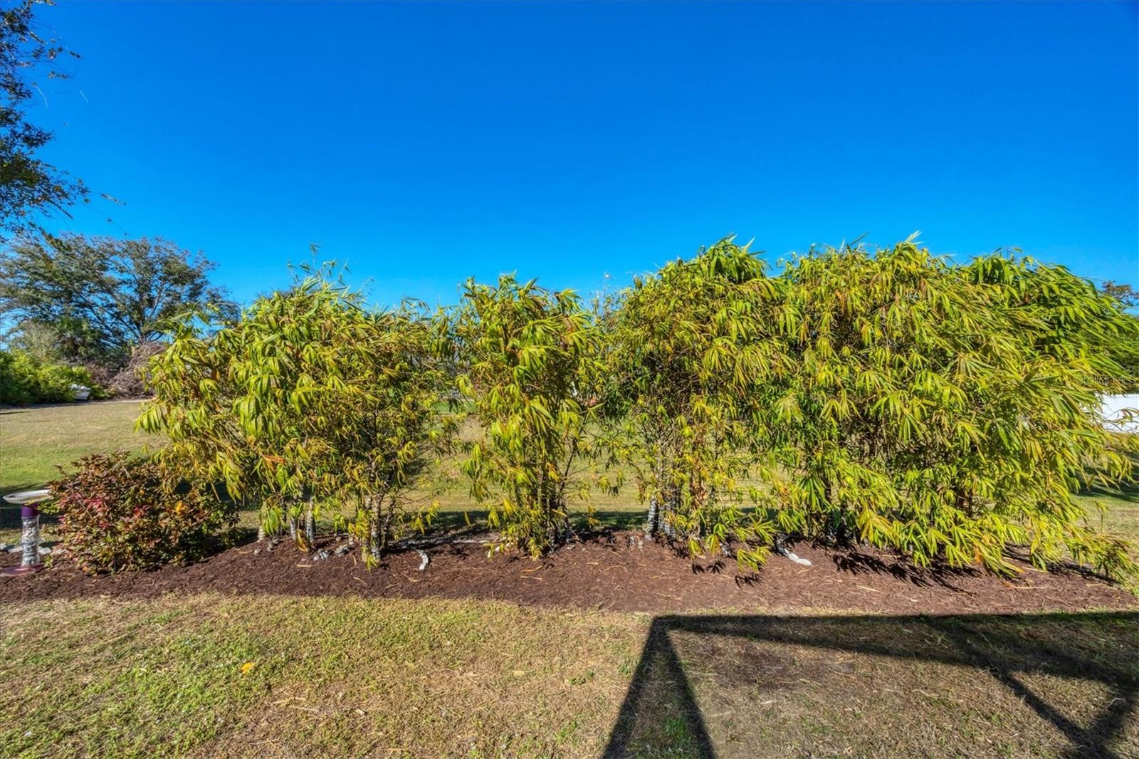 Image 42 of 52 For 10084 Topsail Avenue