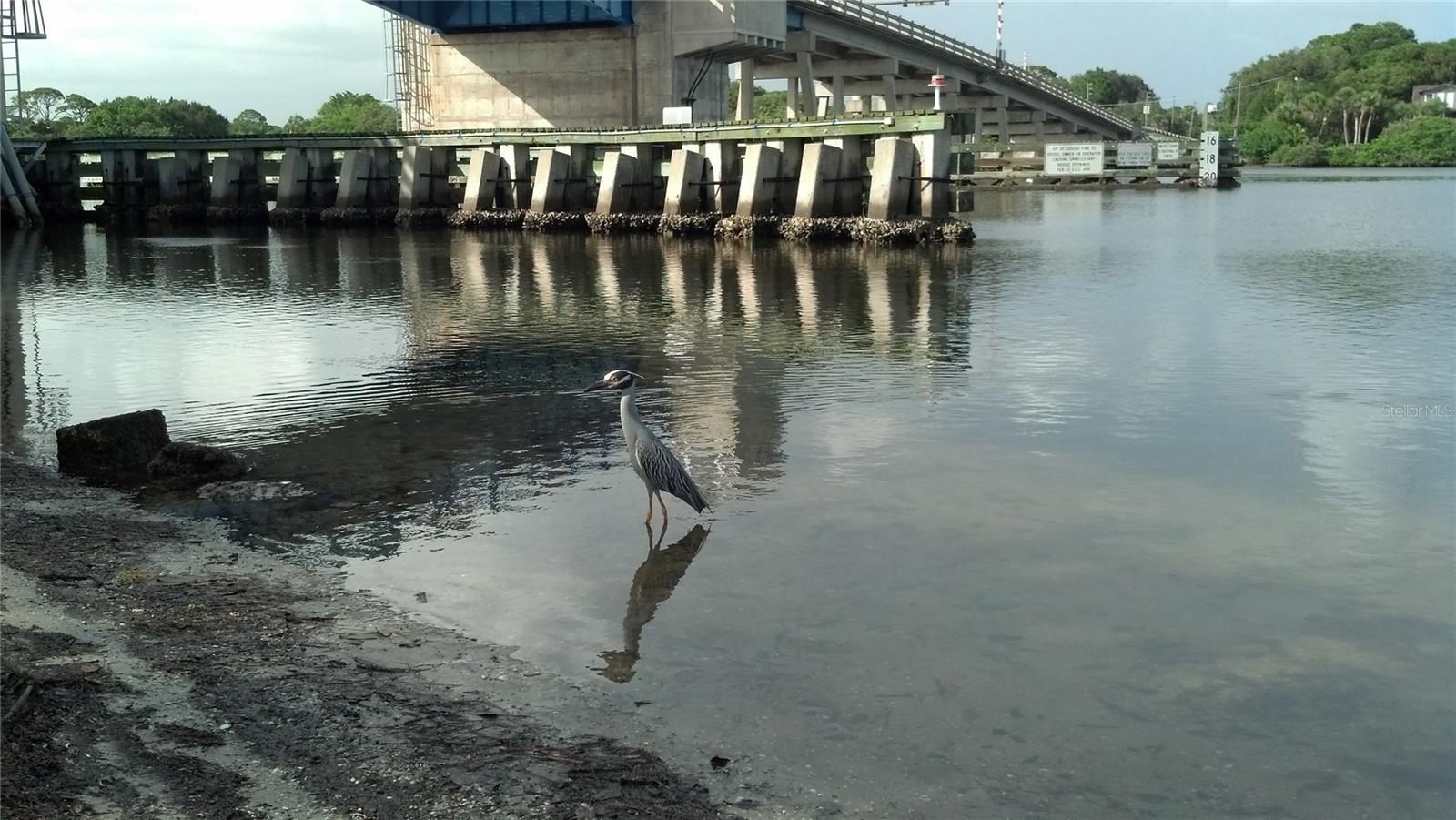 Image 76 of 100 For 35 Pine Valley Court