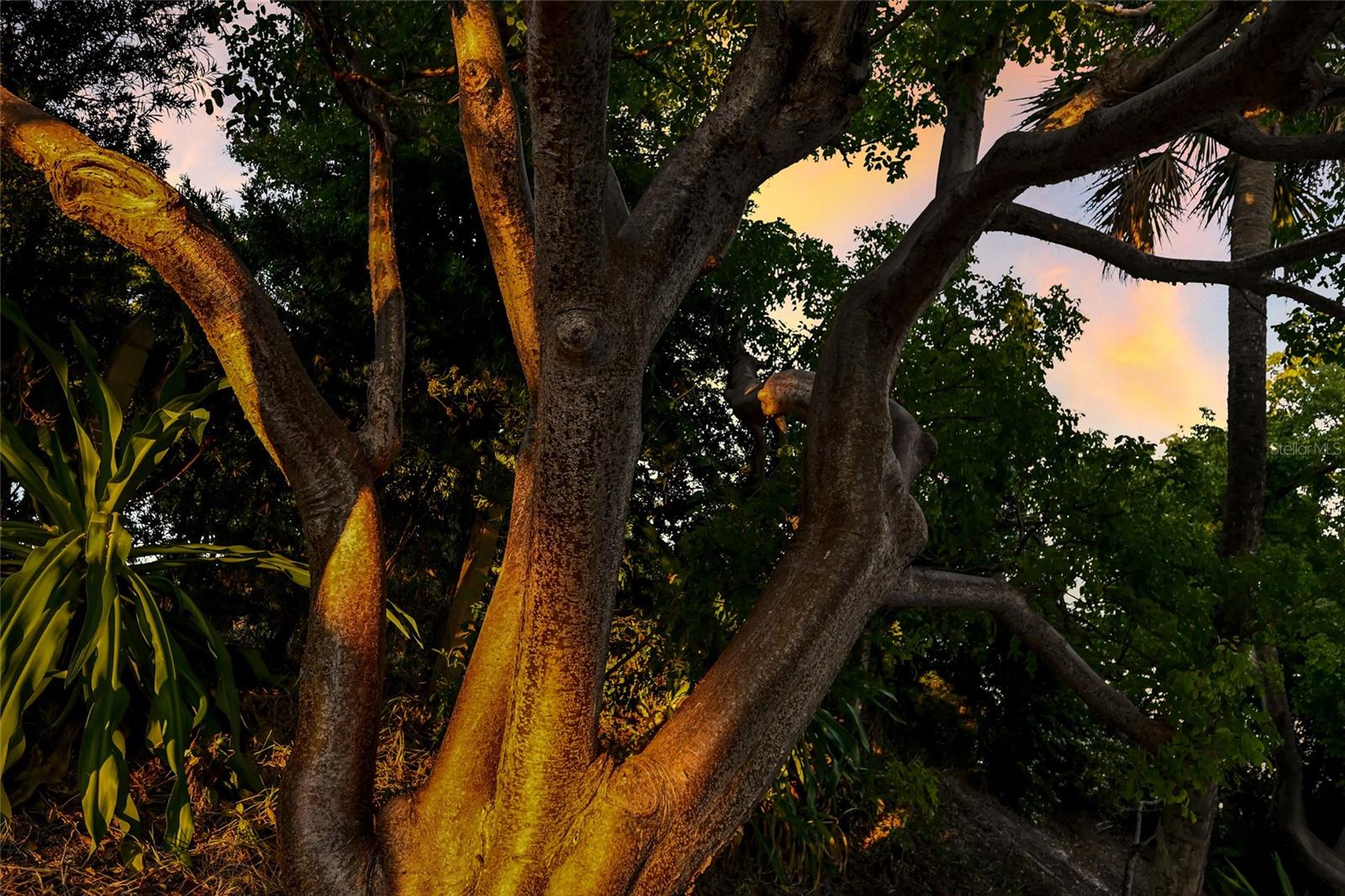 Image 49 of 54 For 1660 16th Street E