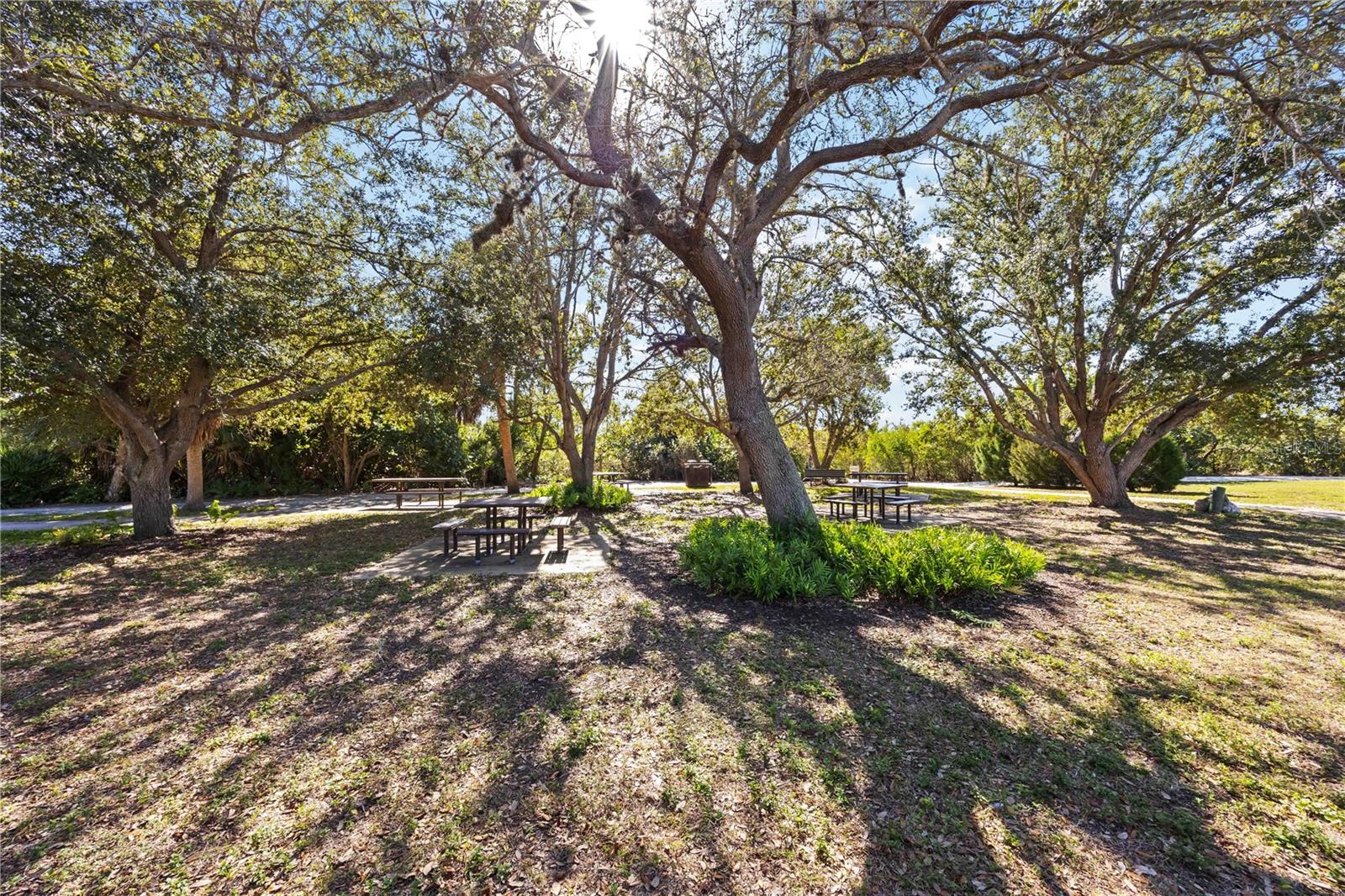 Image 38 of 49 For 3329 Purple Martin Drive 113