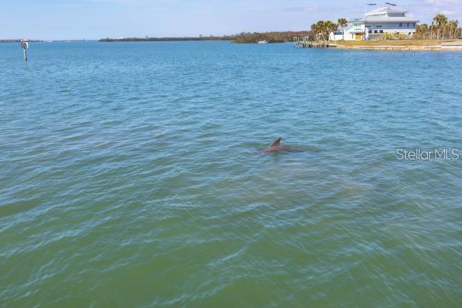 Image 23 of 24 For 1906 Mississippi Avenue