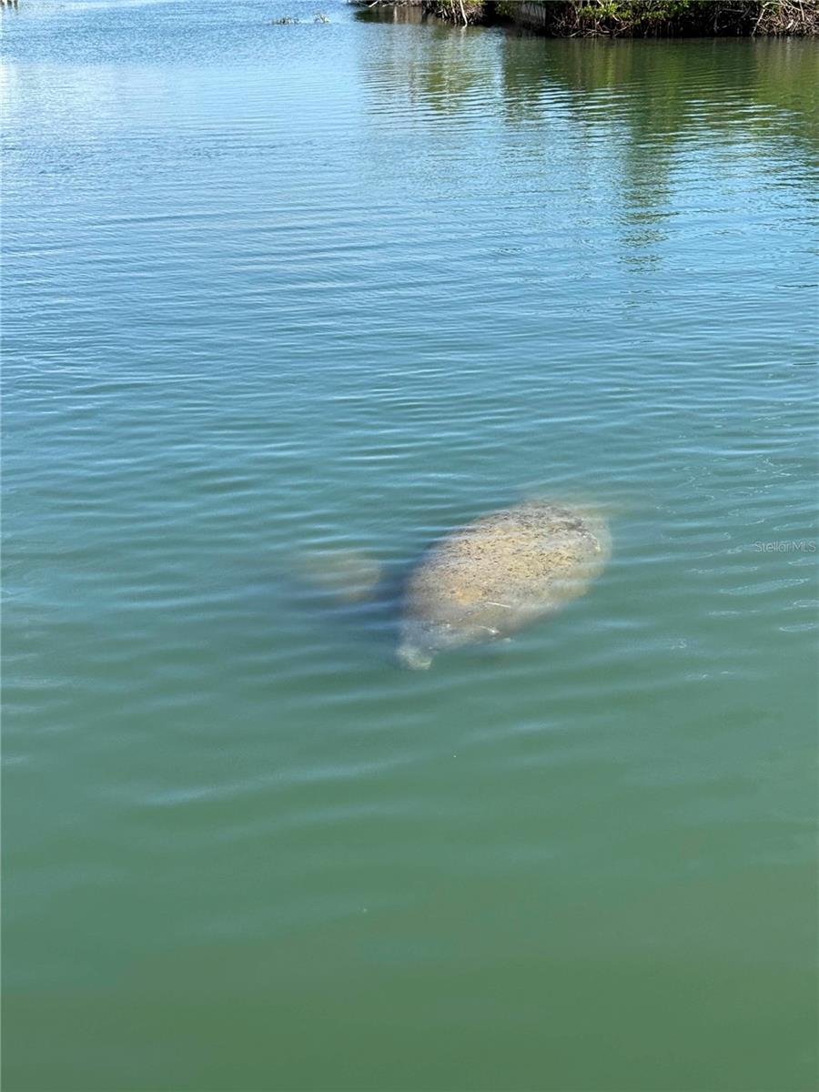 Image 18 of 24 For 8092 Little Gasparilla Island