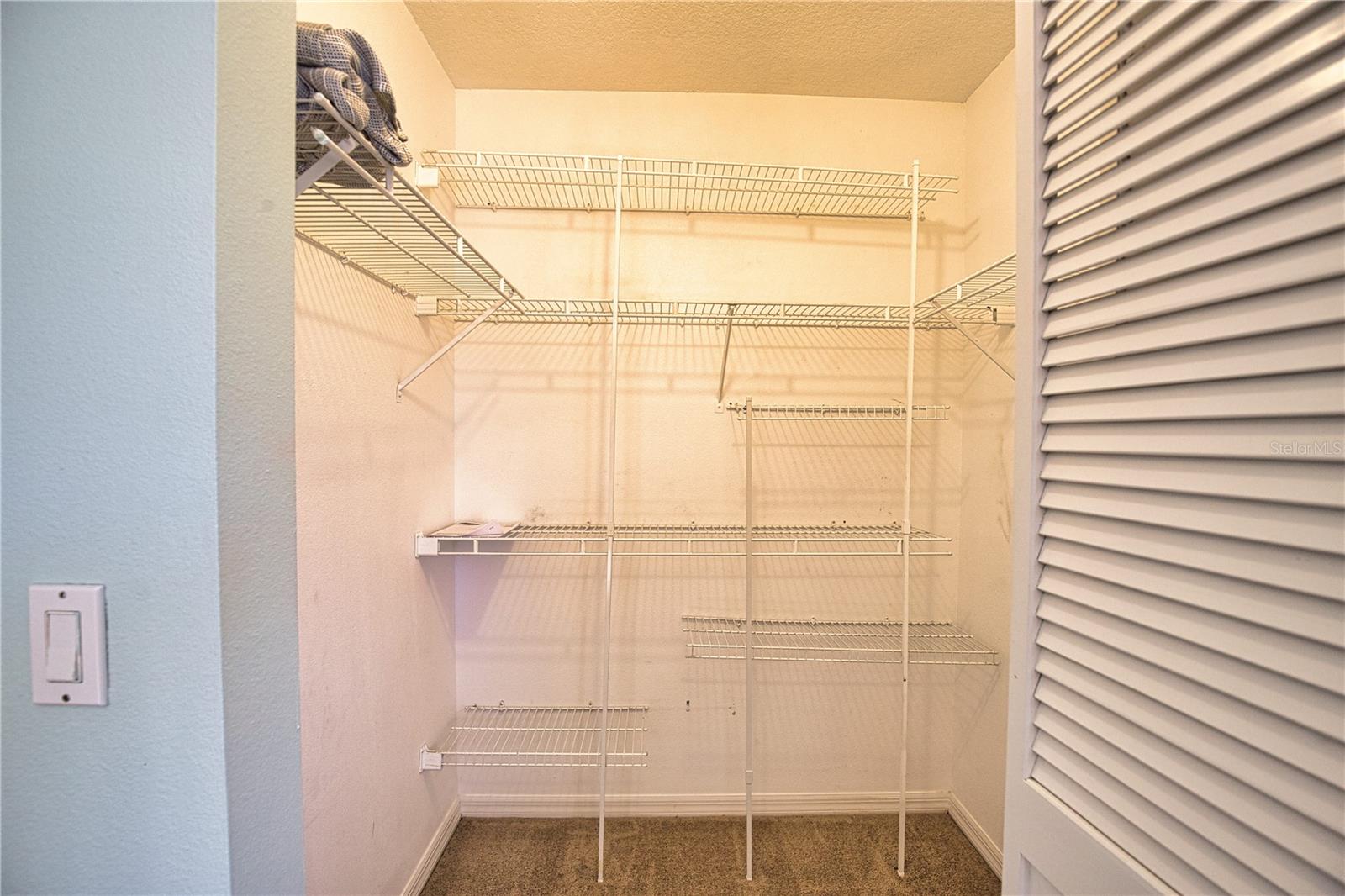 Image 29 of 47 For 7202 Mamouth