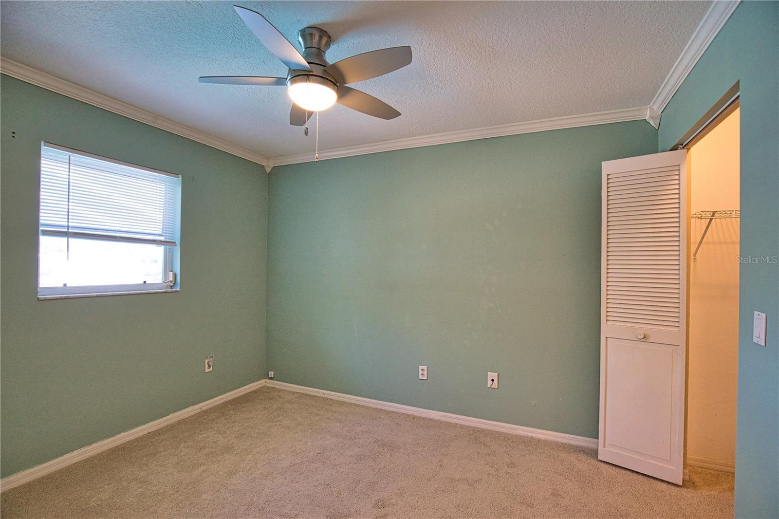 Image 30 of 47 For 7202 Mamouth