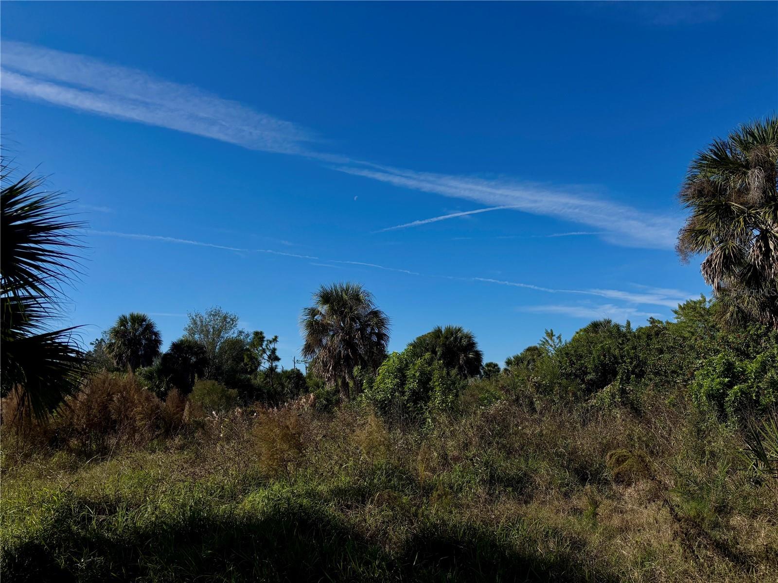 Image 5 of 11 For 13349 Tolman Avenue