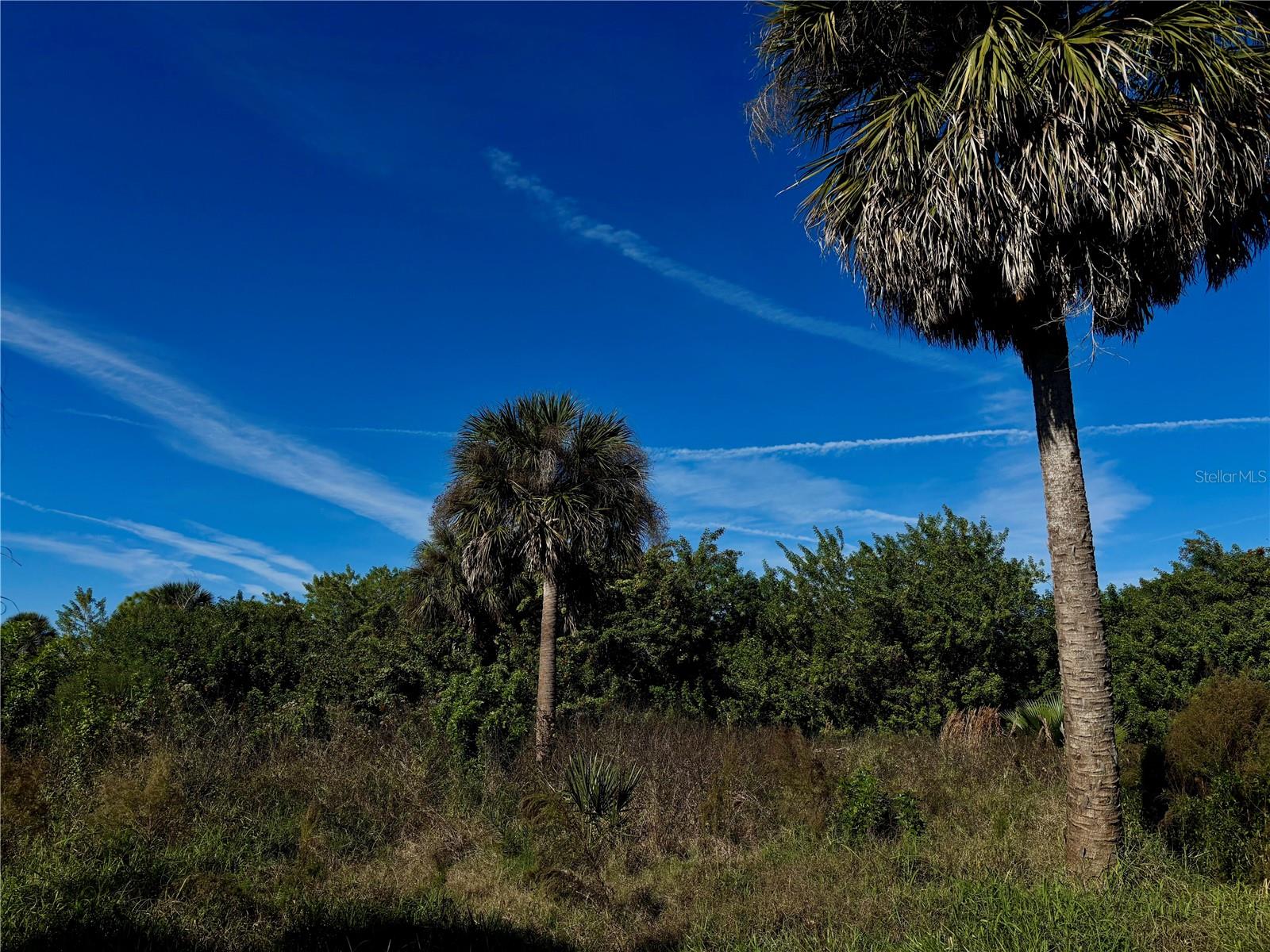 Image 6 of 11 For 13349 Tolman Avenue