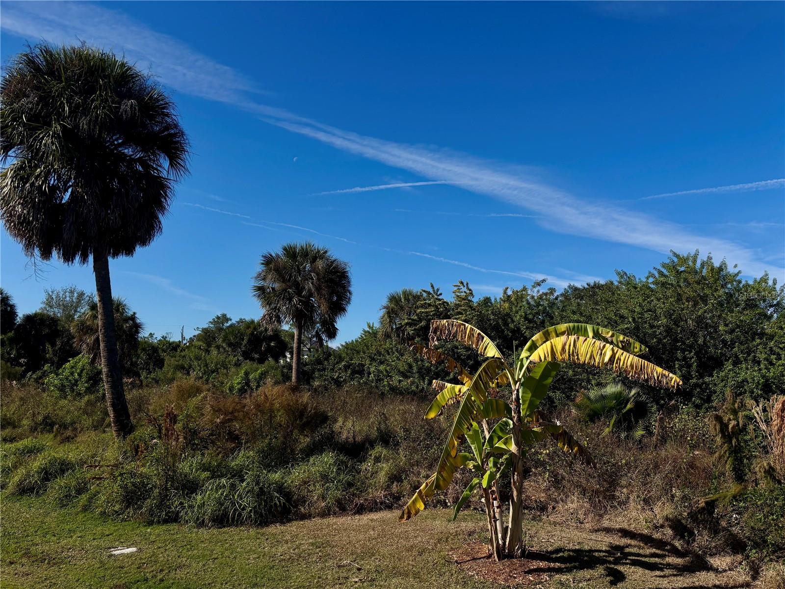 Image 8 of 11 For 13349 Tolman Avenue