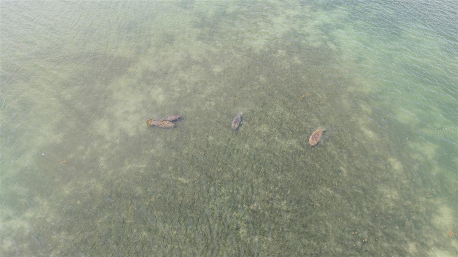 Image 20 of 21 For 70 Spaniards Road