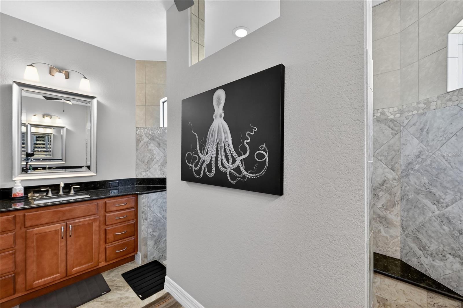 Image 28 of 47 For 8 Windward Road