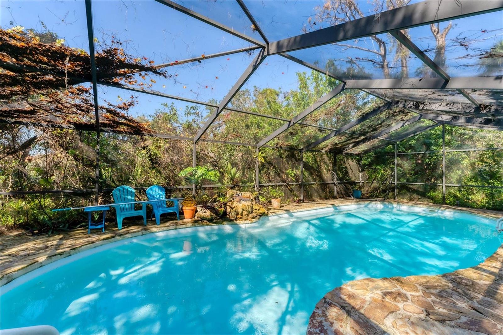 Image 34 of 50 For 681 Olive Street