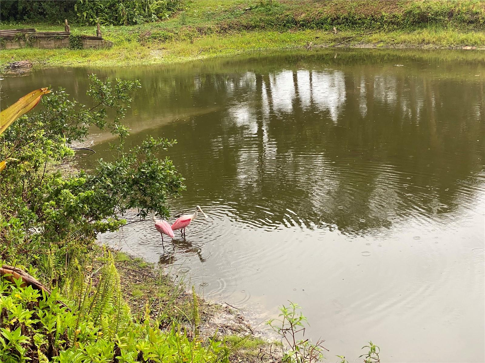 Image 52 of 71 For 1691 Lakeview Place