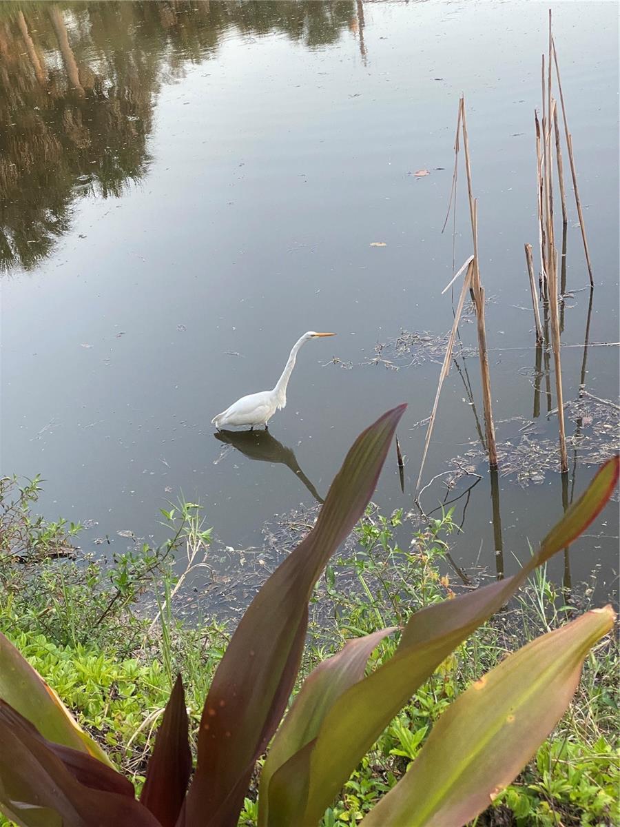 Image 53 of 71 For 1691 Lakeview Place