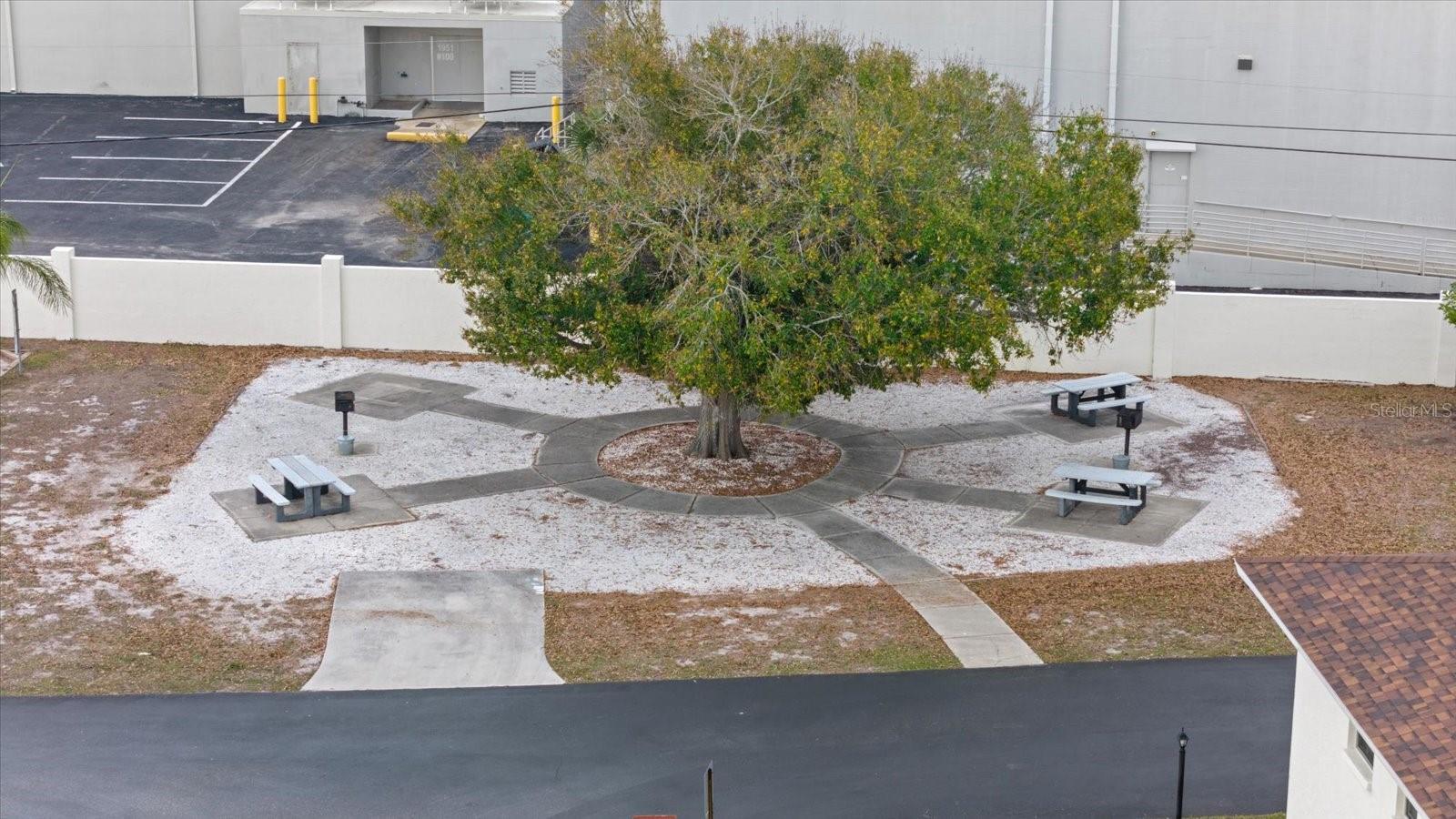 Image 42 of 47 For 1531 Placida Road 204