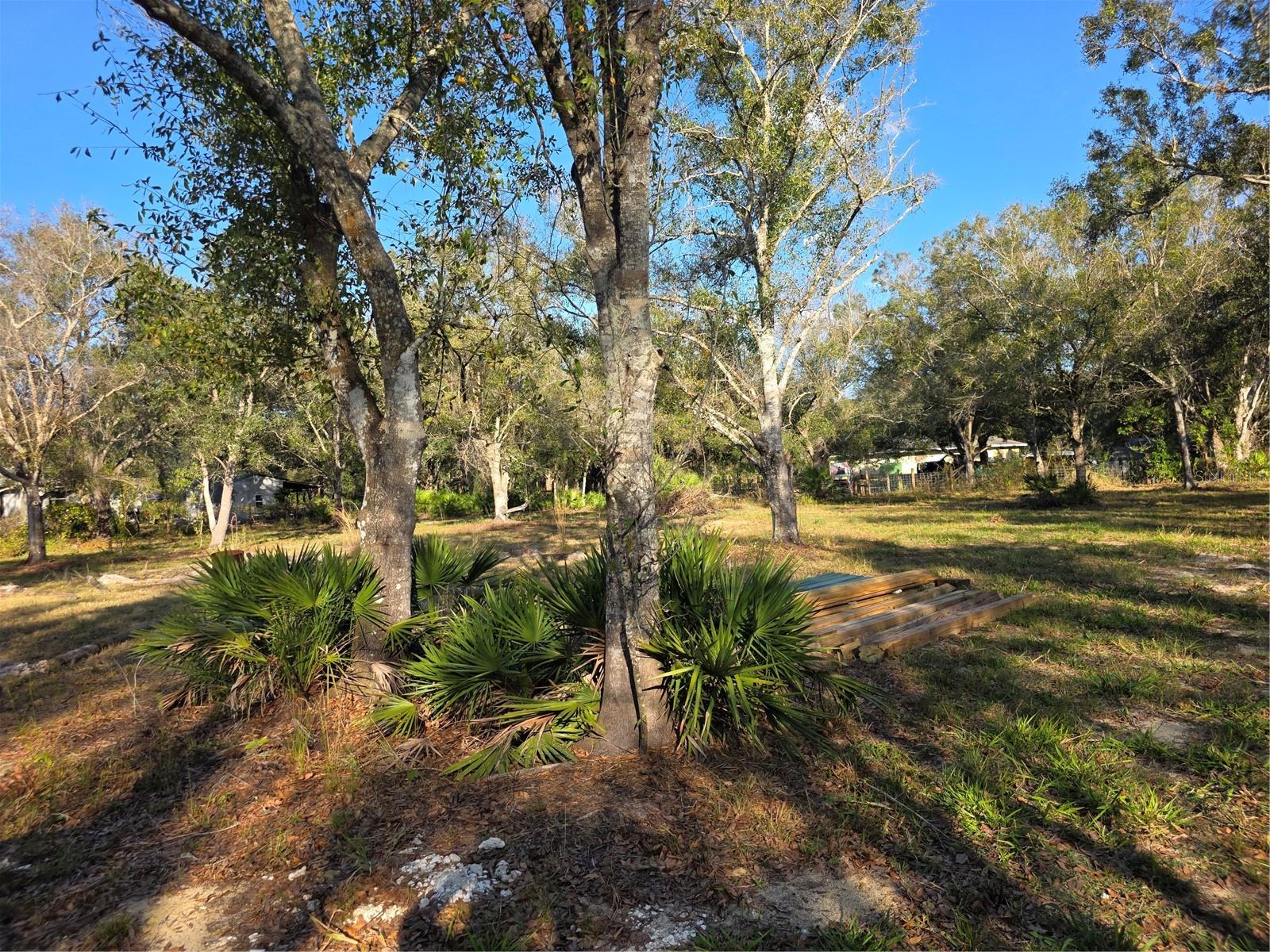 Image 15 of 15 For 4816 Wheat Avenue