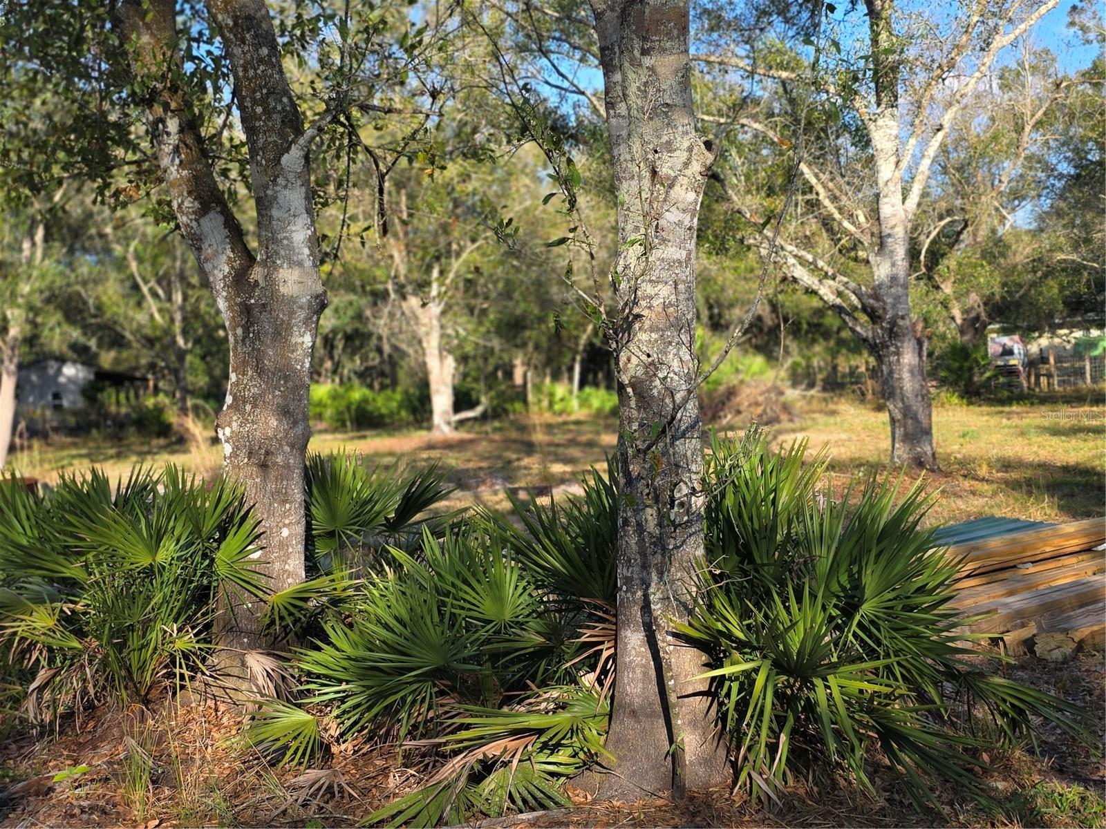 Image 9 of 15 For 4816 Wheat Avenue