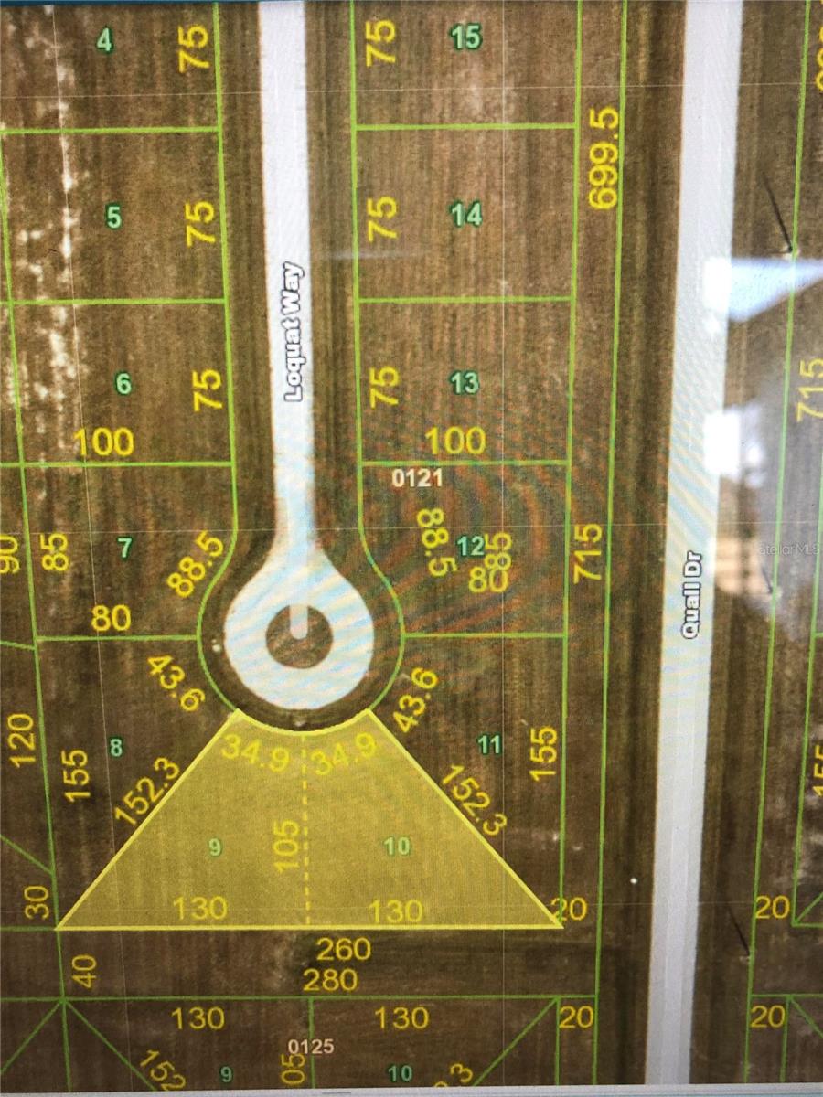 Image 2 of 3 For 1 Loquat Way