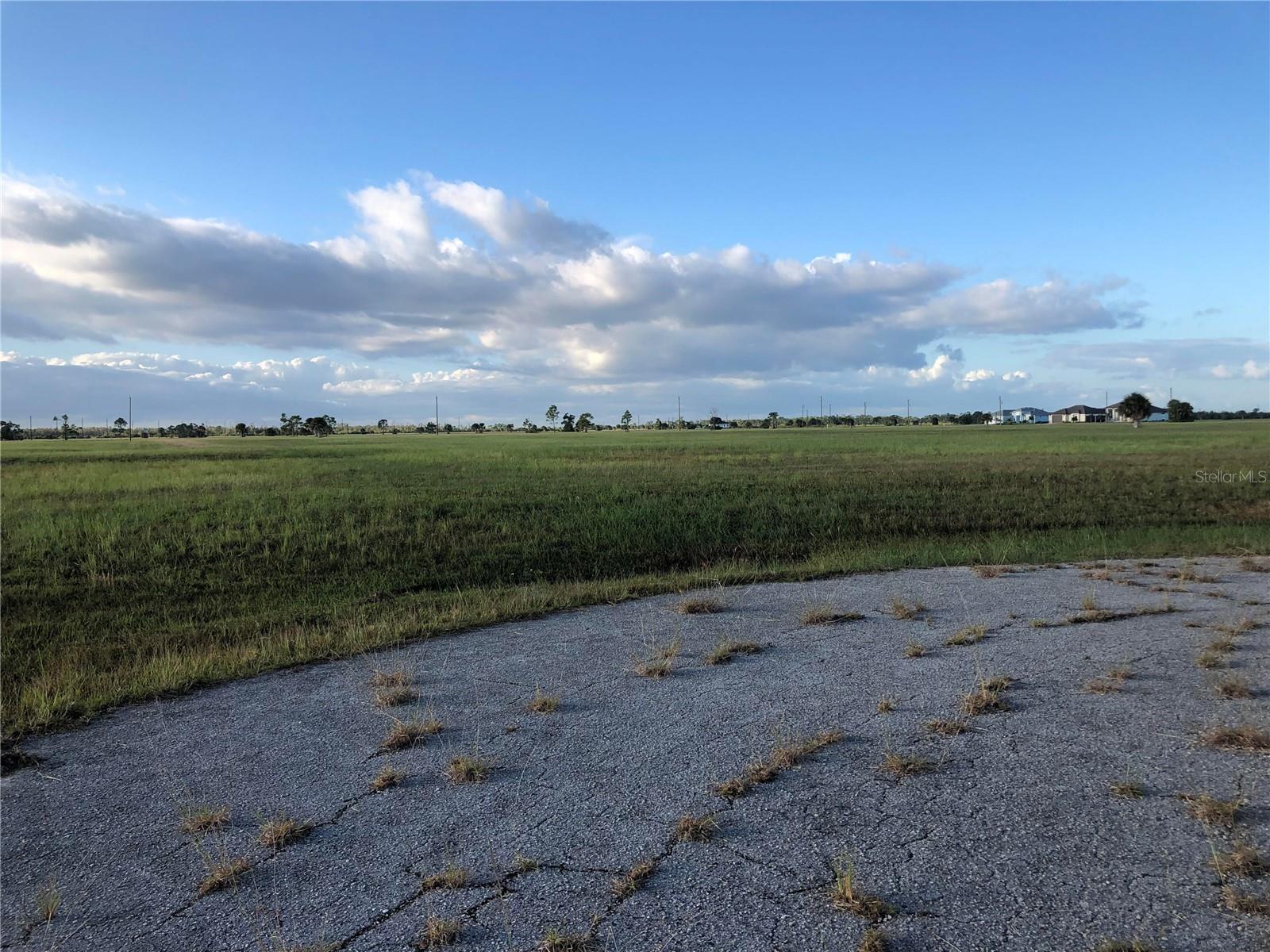 Image 3 of 3 For 1 Loquat Way