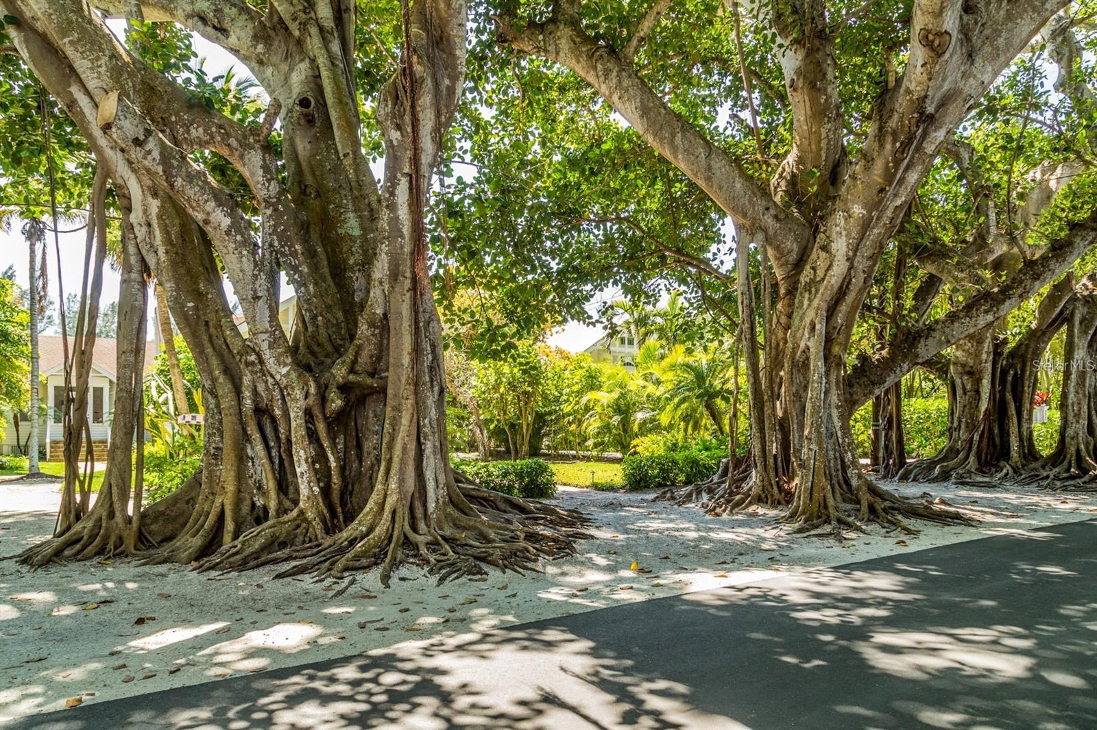 Listing photo id 86 for 5 Aye Court 