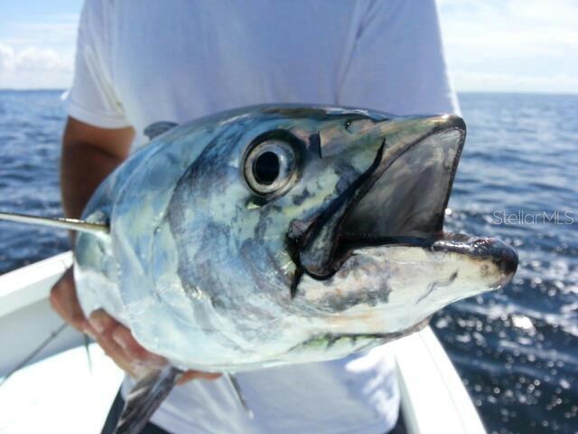 Image 36 of 53 For 1735 Loralin Drive