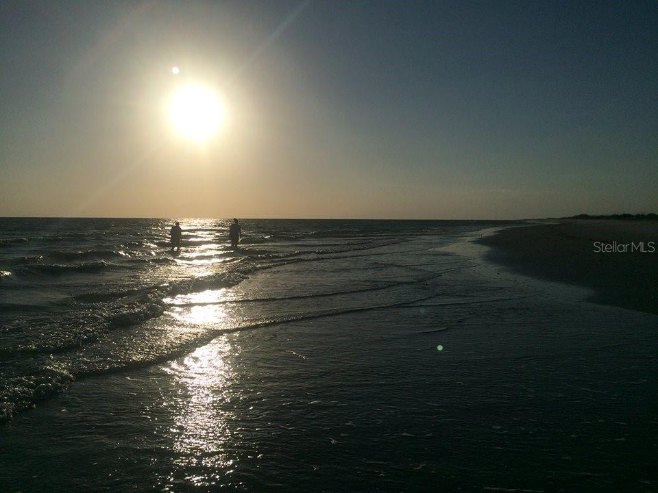 Image 56 of 68 For 301 Gulf Boulevard 25