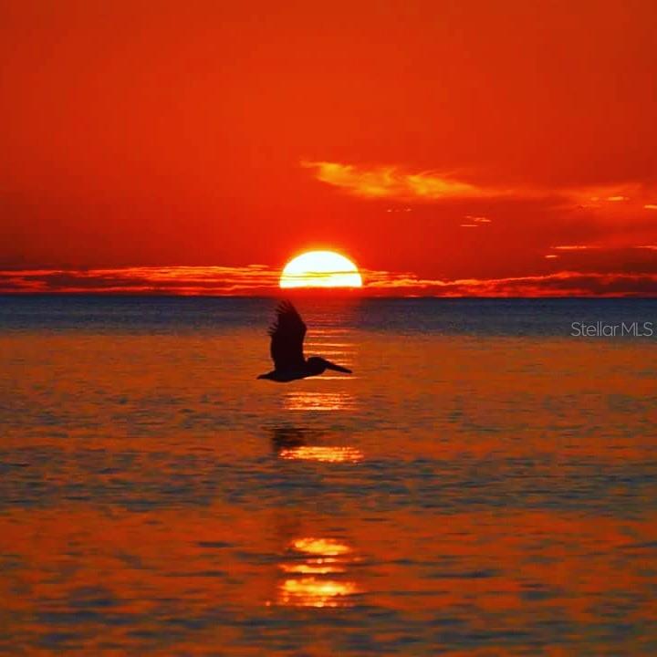 Image 60 of 68 For 301 Gulf Boulevard 25