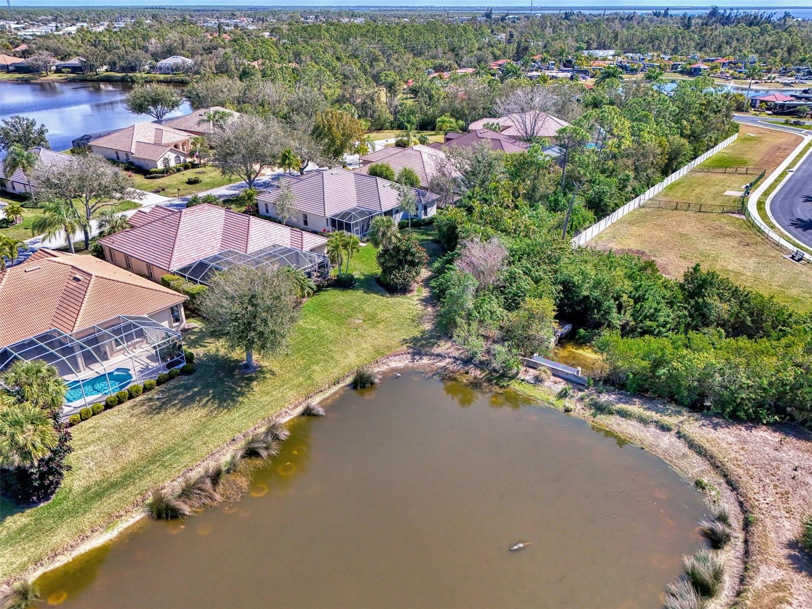 Image 62 of 91 For 14218 Silver Lakes Circle