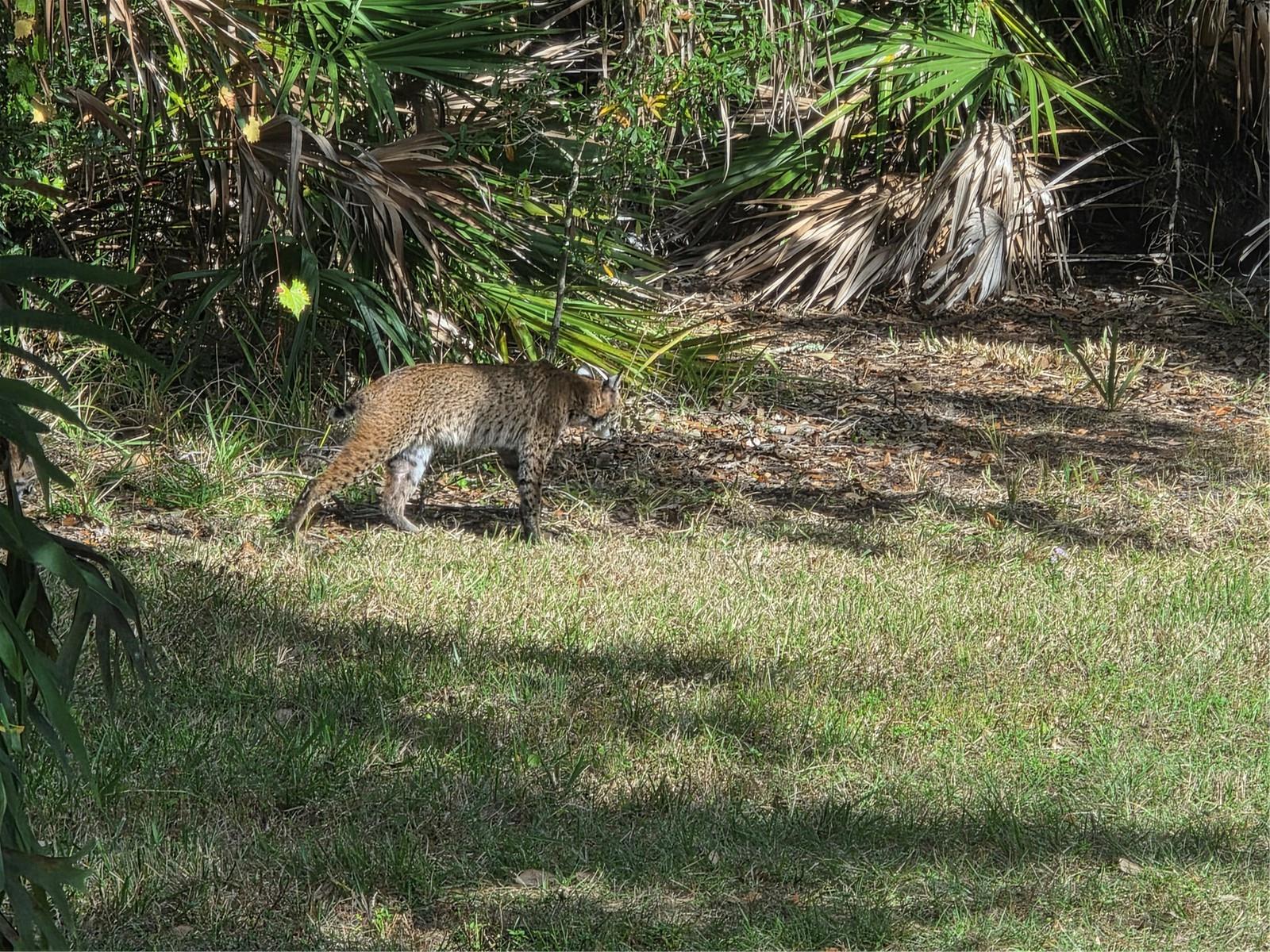 Details for 2212 Wakefield Street, PORT CHARLOTTE, FL 33948