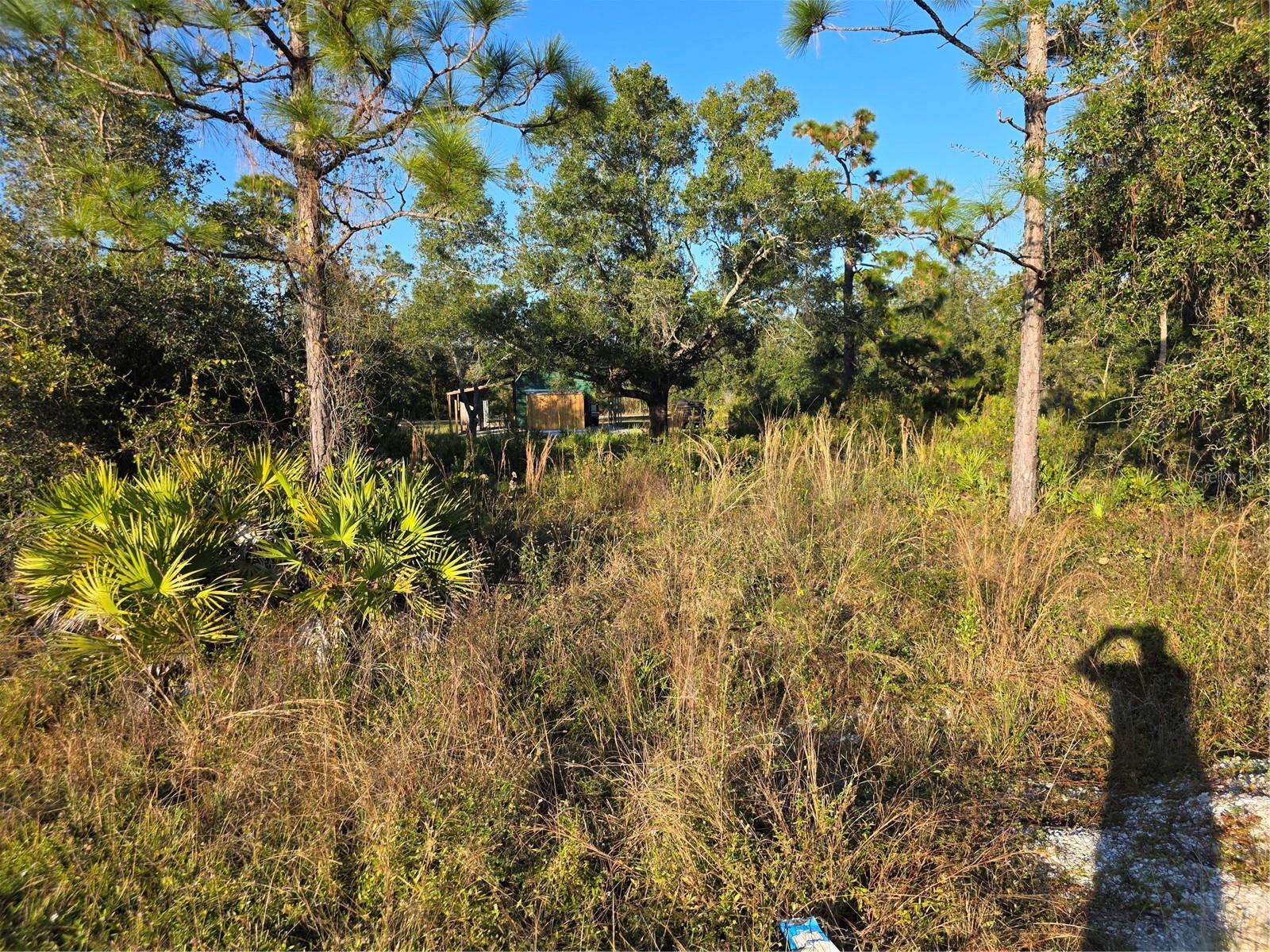 Image 2 of 3 For 2212 Wakefield Street