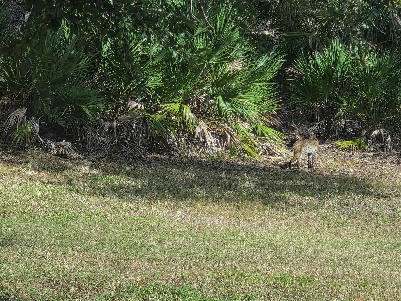 Image 3 of 3 For 2212 Wakefield Street