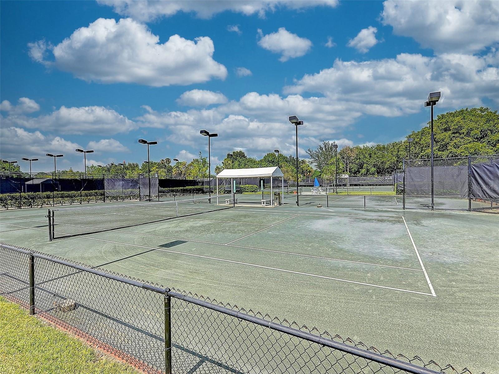 Image 72 of 87 For 335 Saint George Court 1