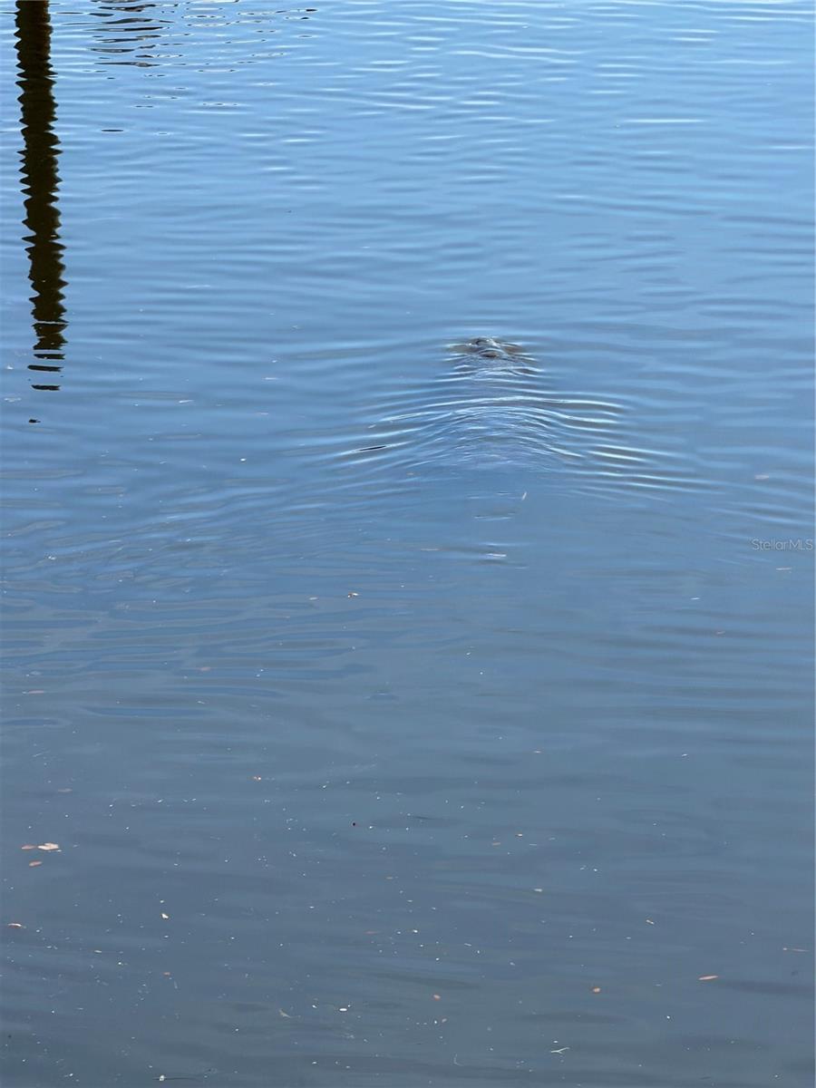 Image 17 of 19 For 5258 Johnson Terrace