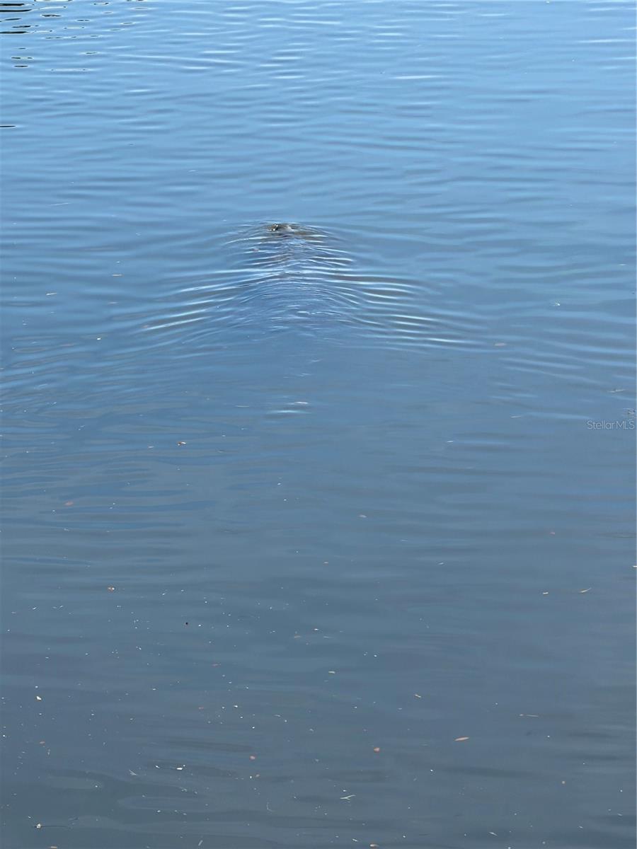 Image 18 of 19 For 5258 Johnson Terrace