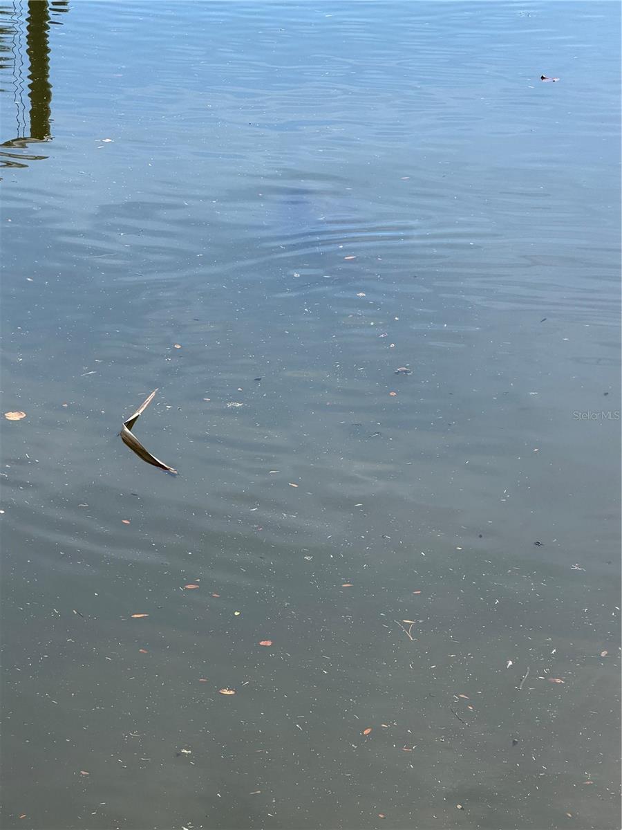 Image 19 of 19 For 5258 Johnson Terrace