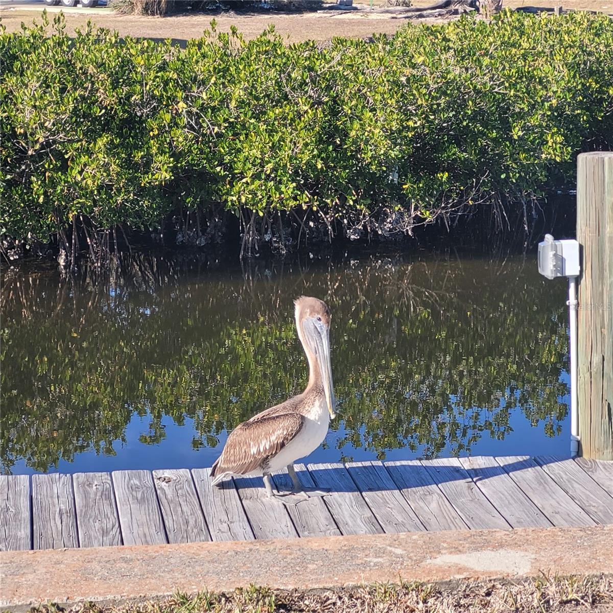 Image 26 of 48 For 4410 Warren Avenue 108