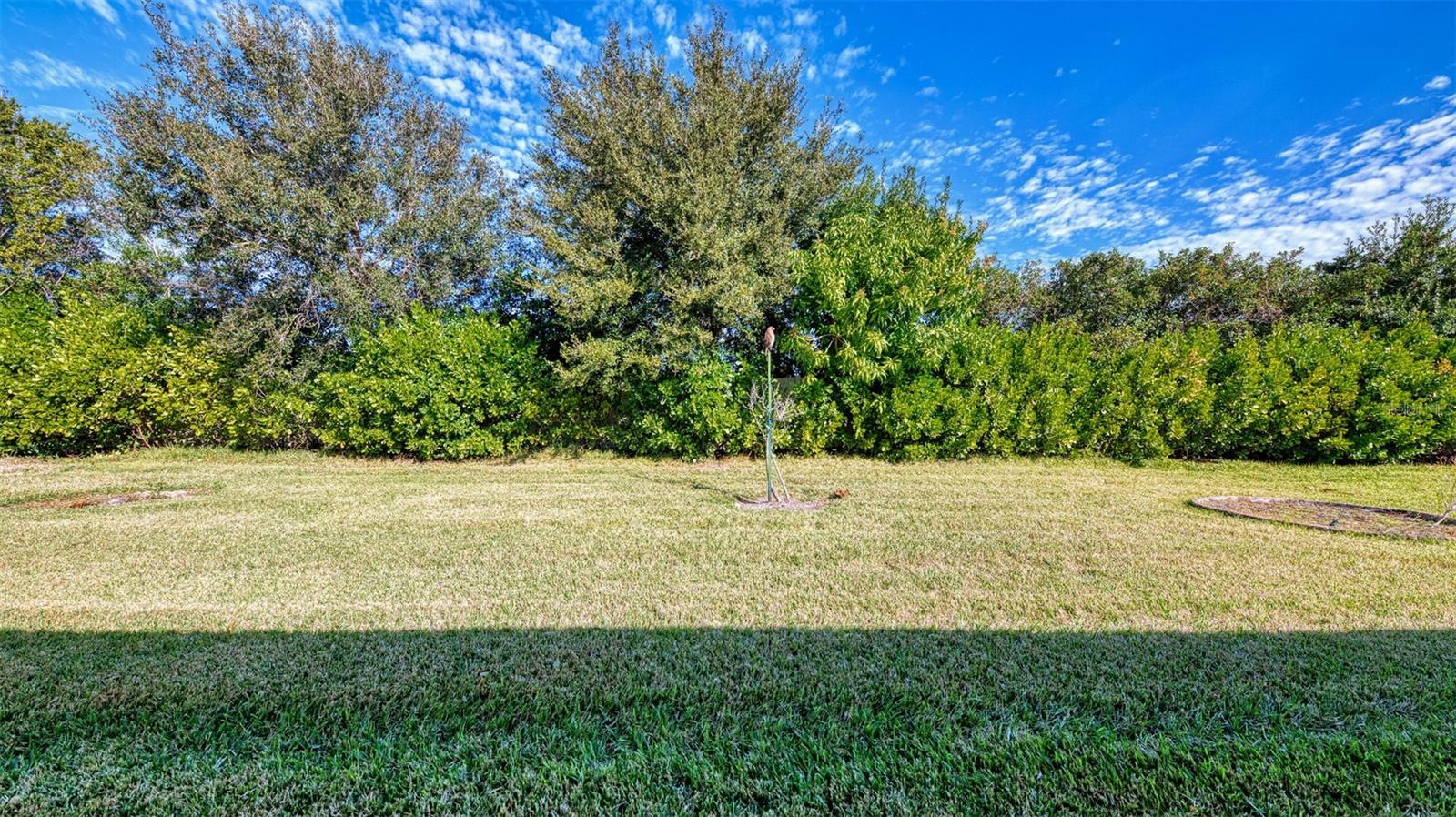 Image 53 of 76 For 11666 Parrotfish Street