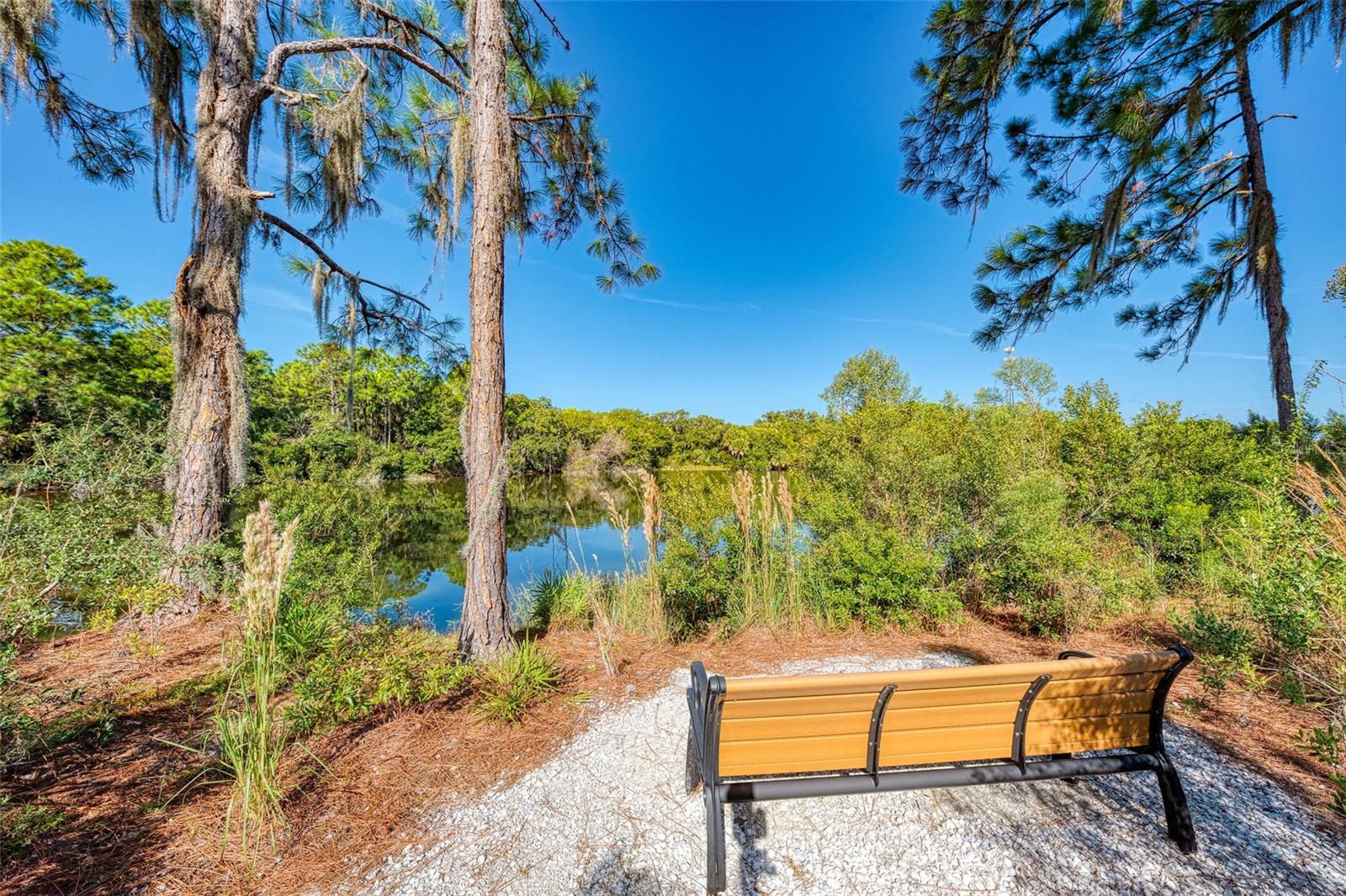 Image 76 of 76 For 11666 Parrotfish Street