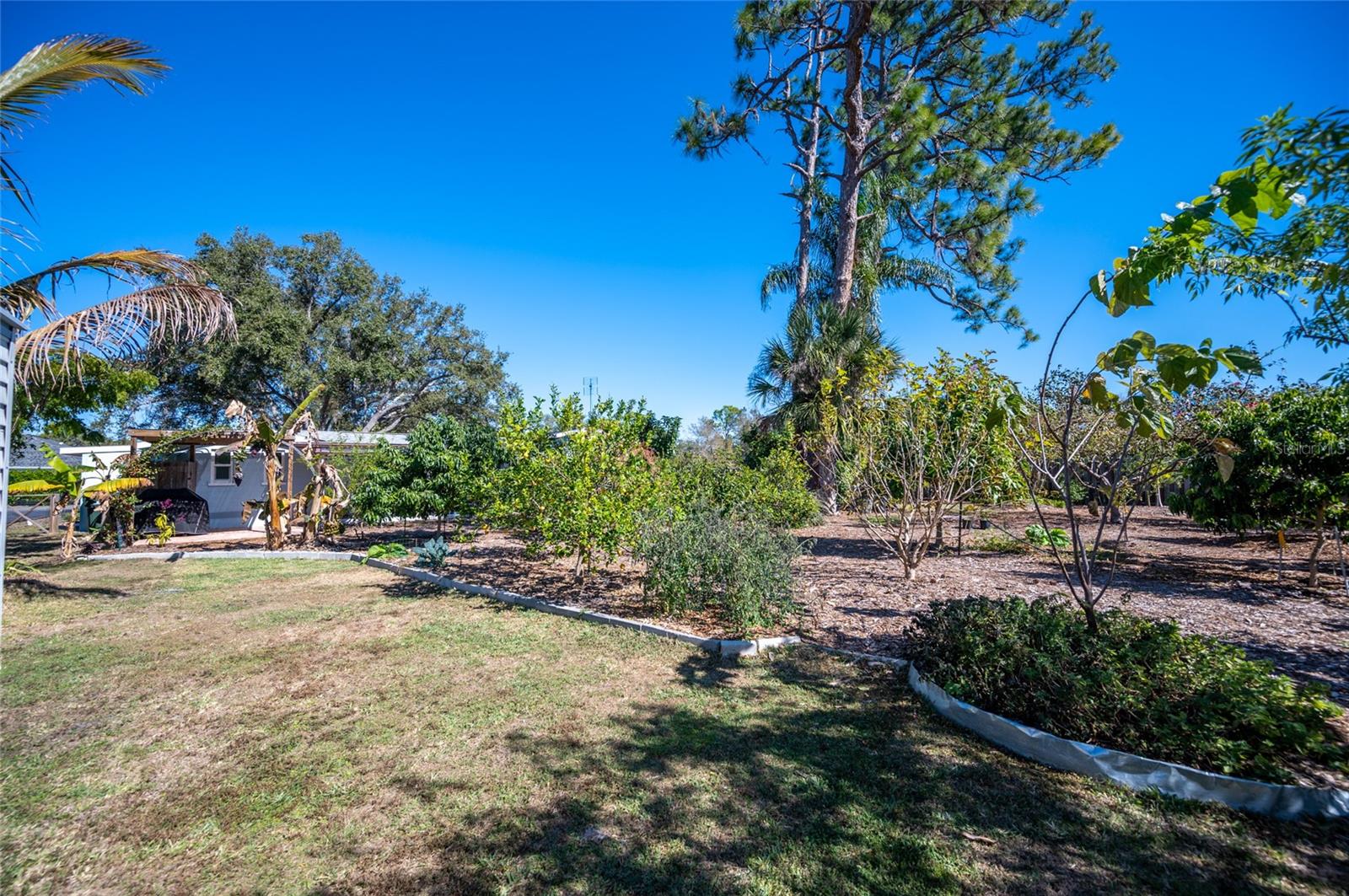 Image 39 of 50 For 1661 5th Street