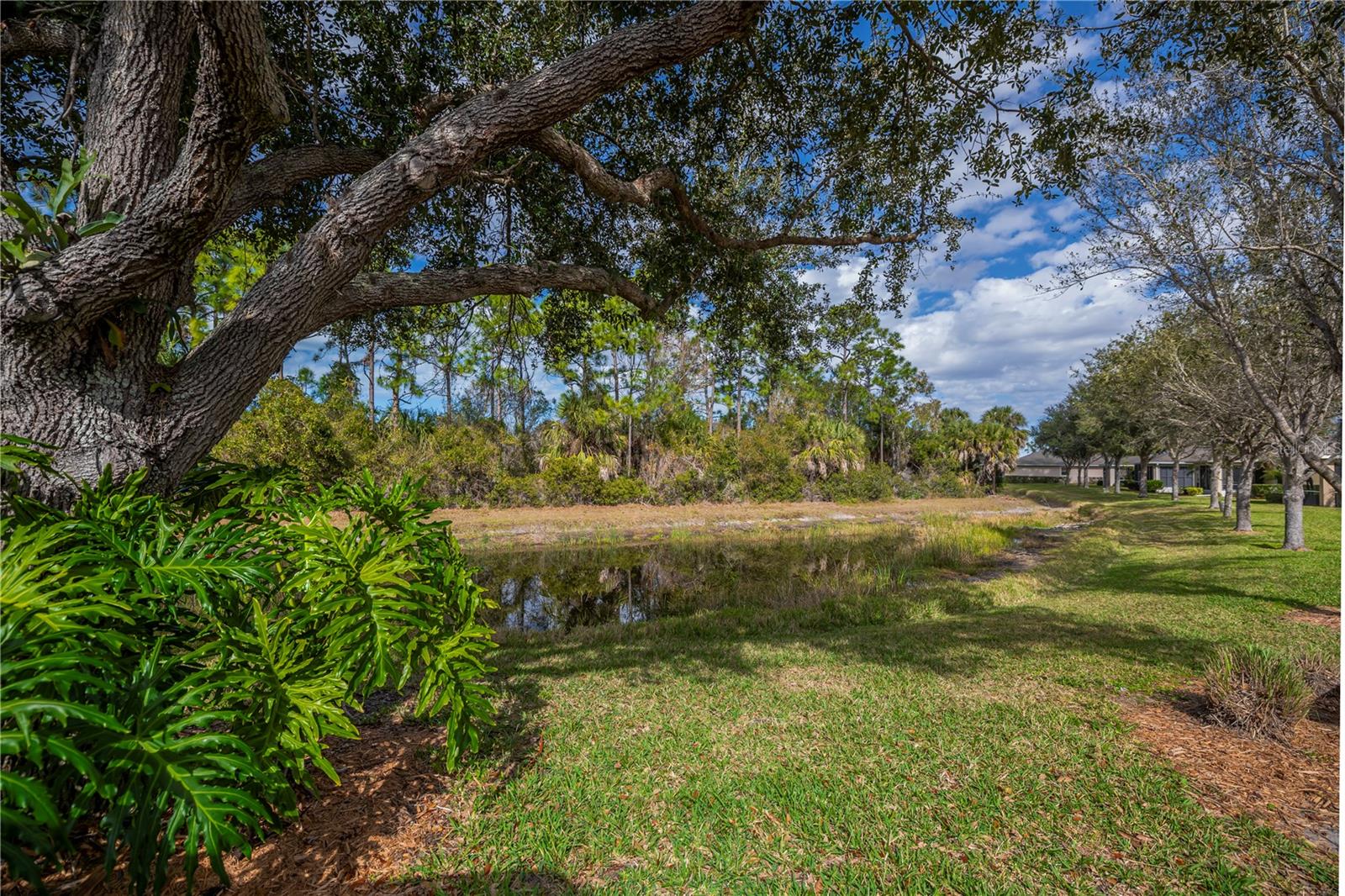 Image 51 of 62 For 9260 Coachman Drive